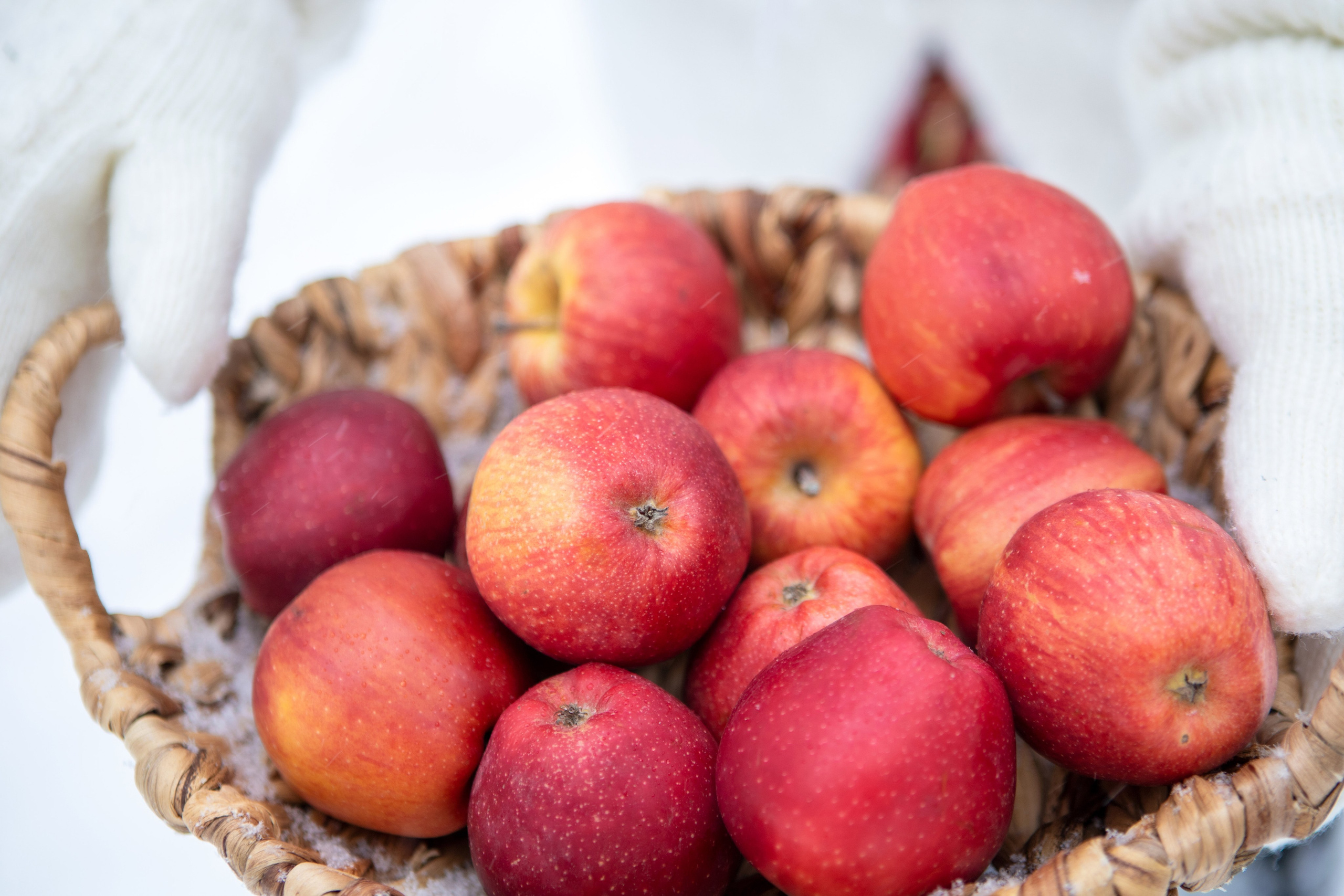 И это всё о ней. Фотограф Яна Матвеева в Ижевске