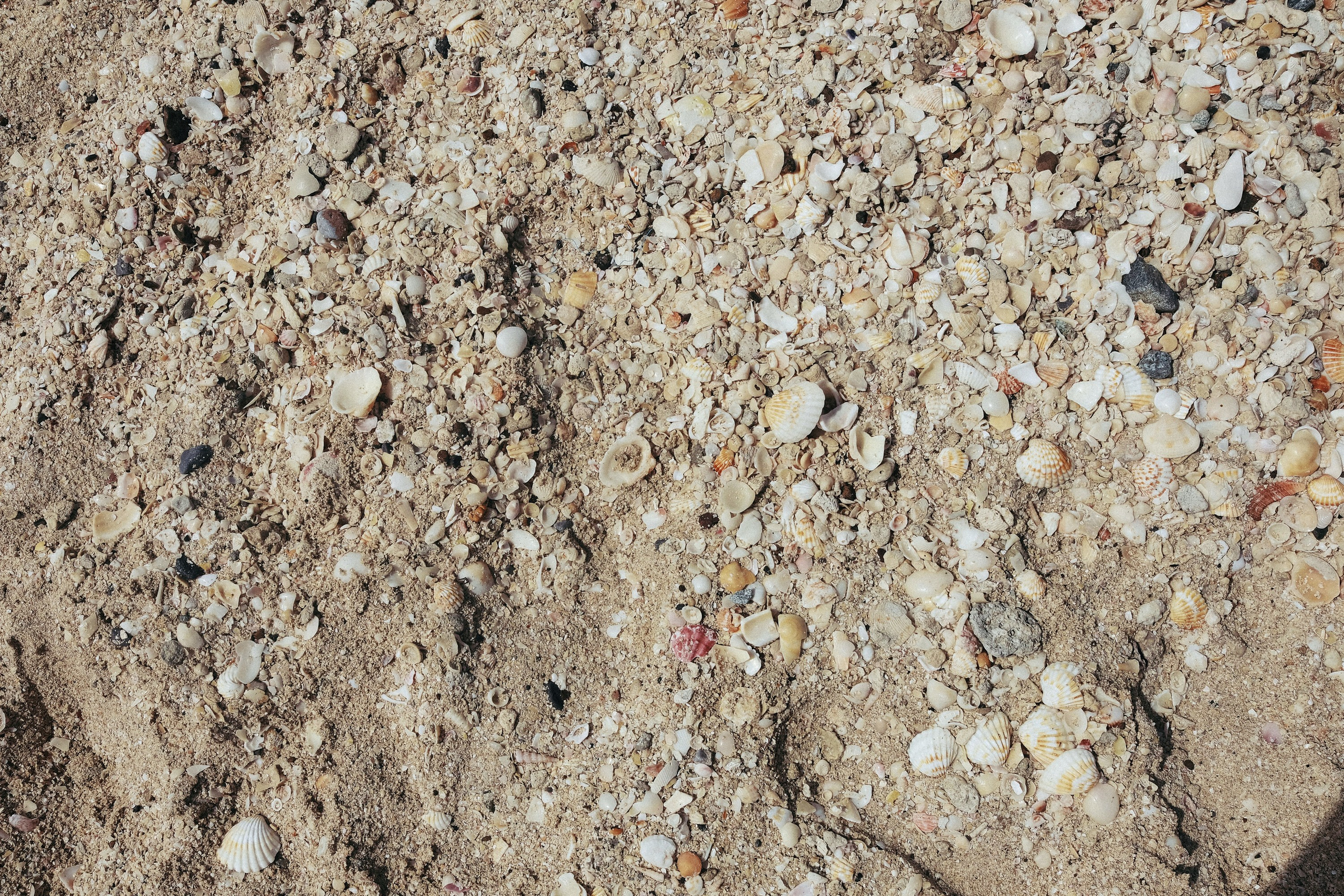 Blue Waters. Персональный фотограф Москва Кислякова Алина. Фотограф в Дубае, ОАЭ