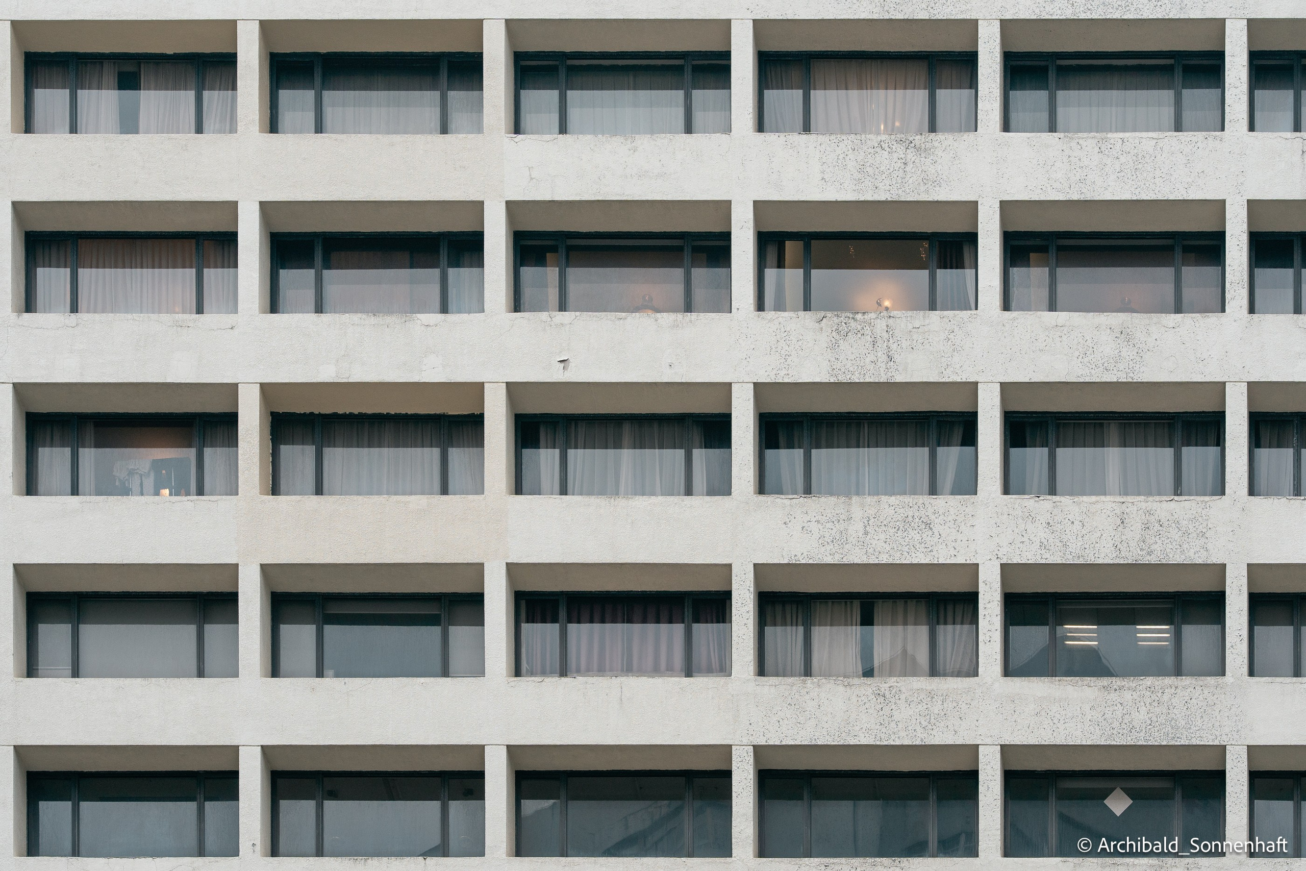 Cat, squirrel, japanese food and stand-up. Photographer in Guangzhou, China. Archibald Sonnenhaft