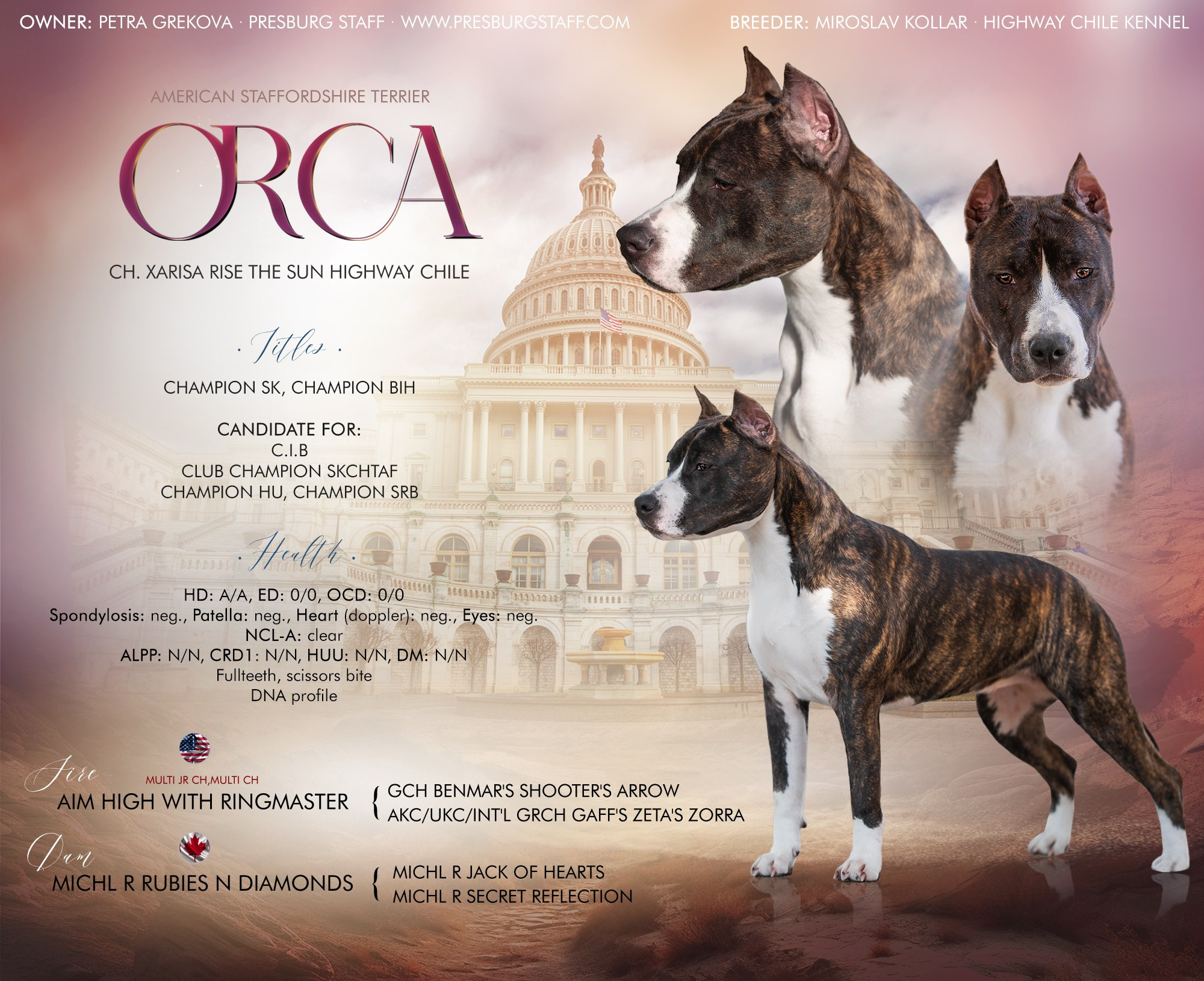 Презентация суки АСТ