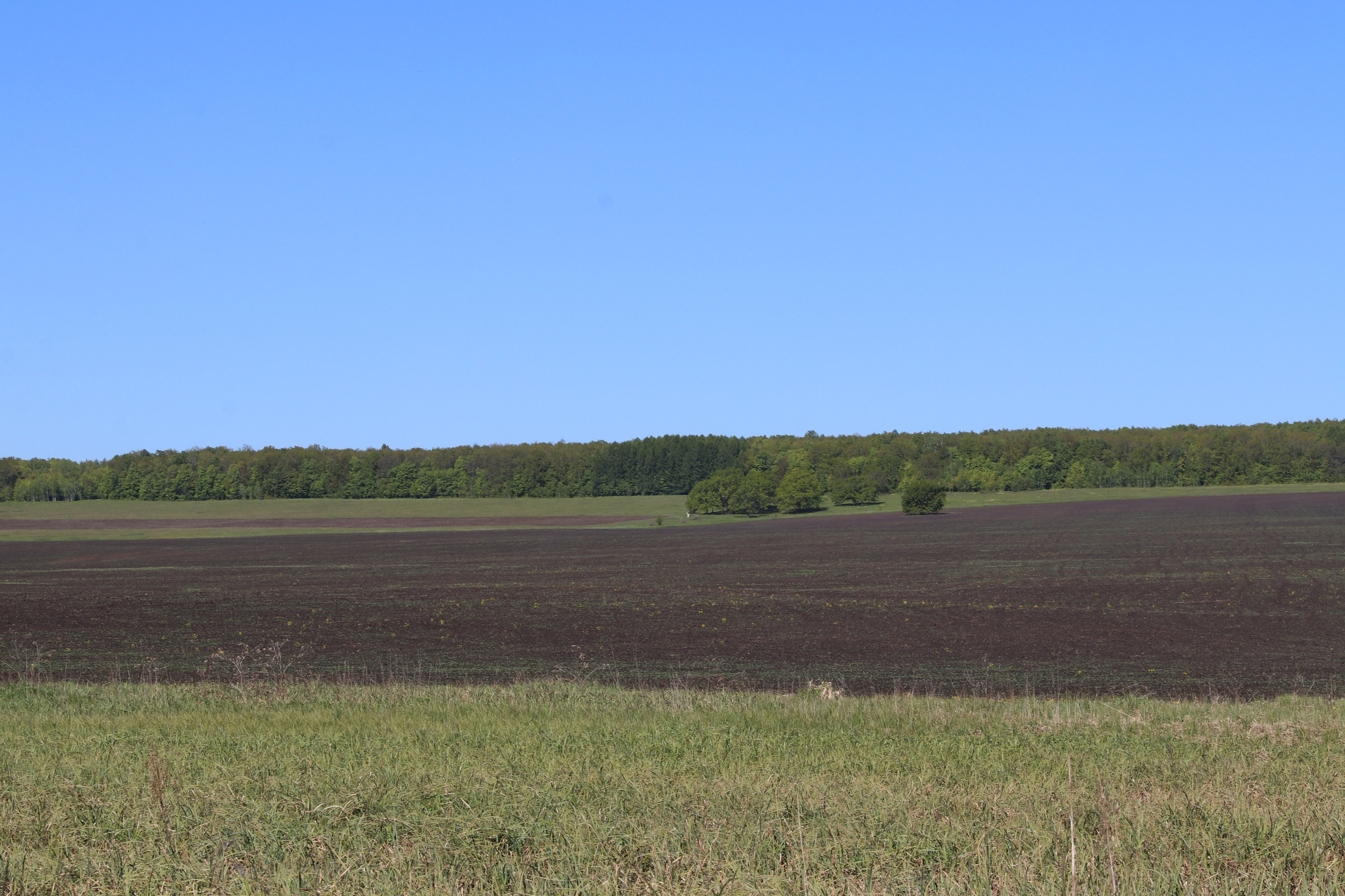 Велопоход Уфа — Мелеуз. Май 2024. Путешественник-фотограф из Санкт-Петербурга Татьяна Свистулина
