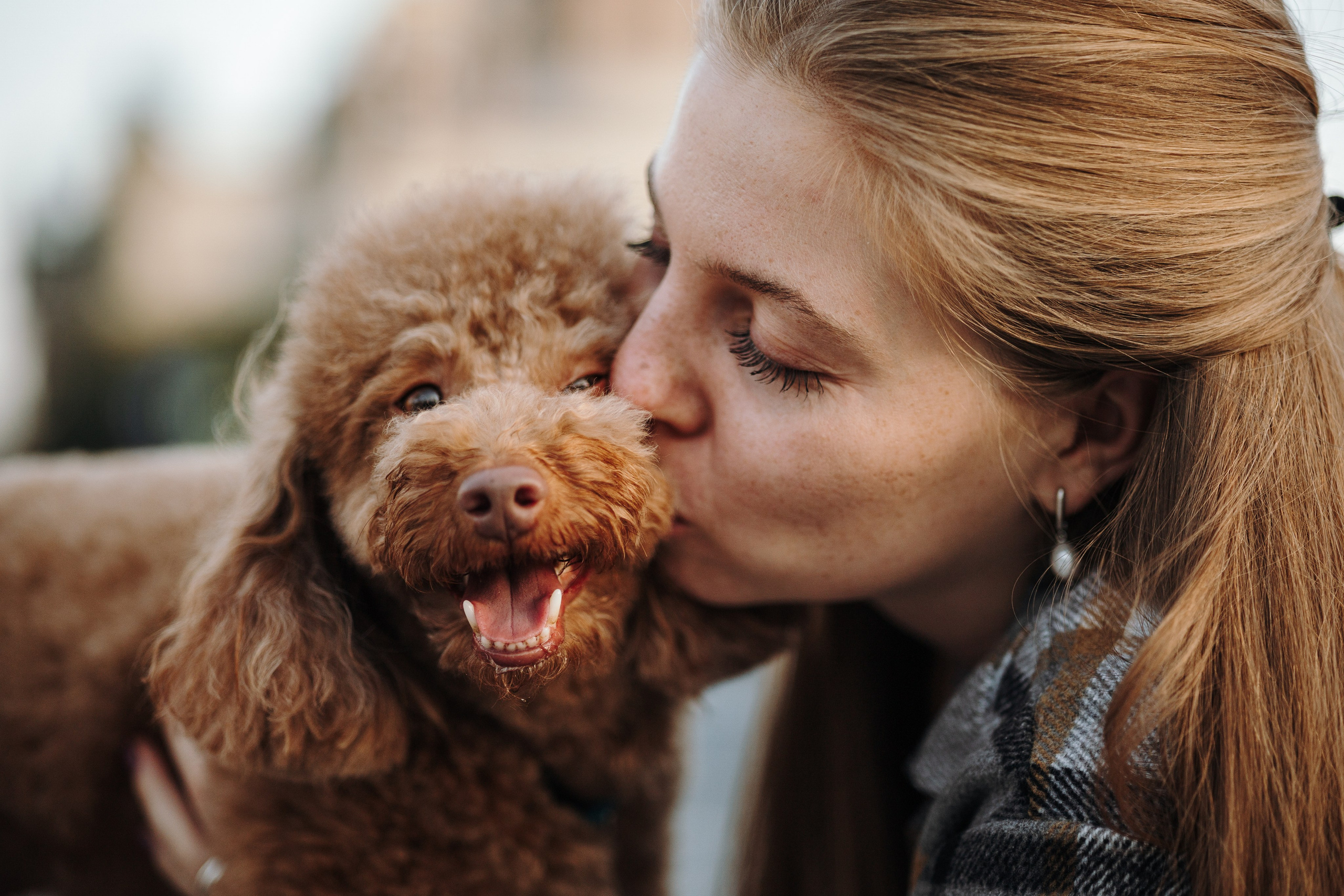 Барни и его семья. Фотограф — Анималист | Санкт-Петербург