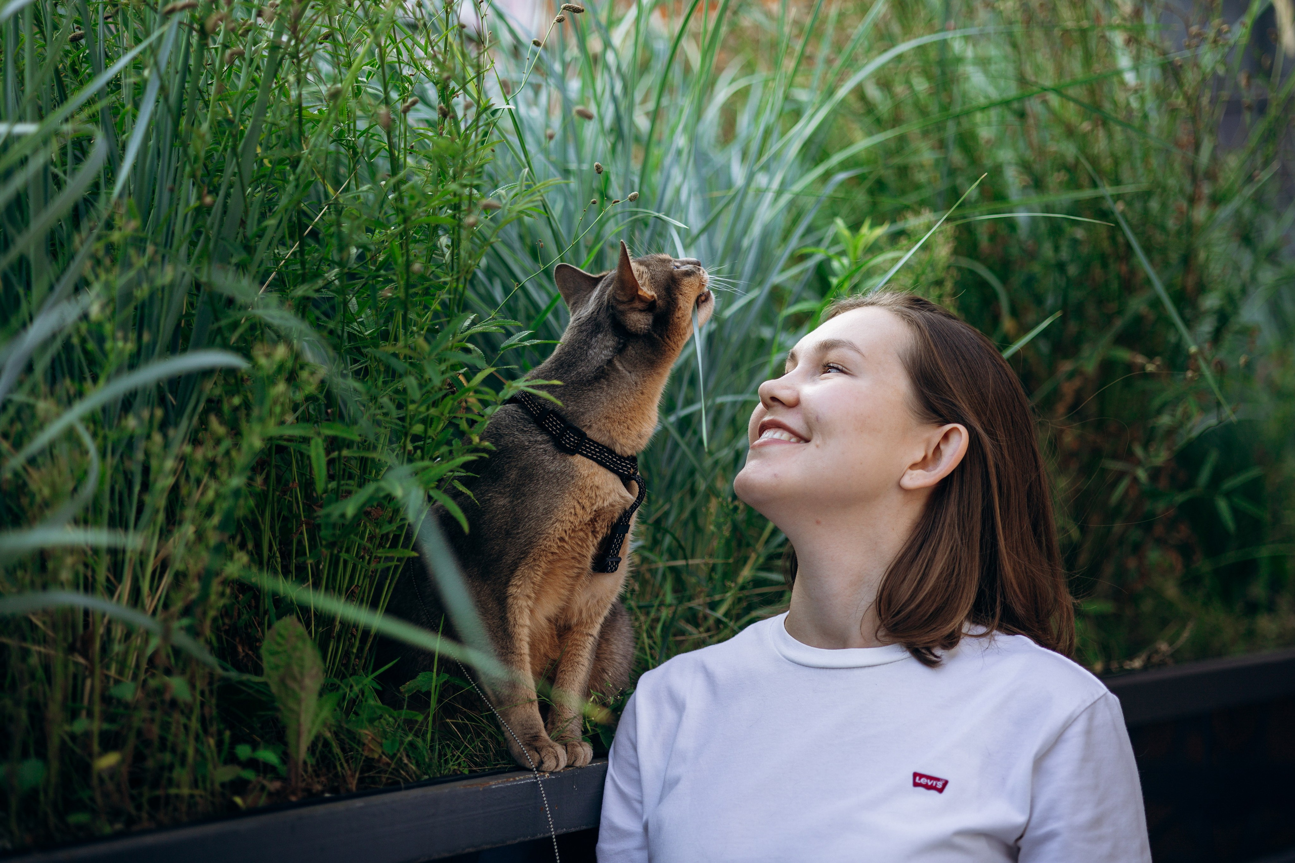 Циско и его семья. Фотограф — Анималист | Санкт-Петербург