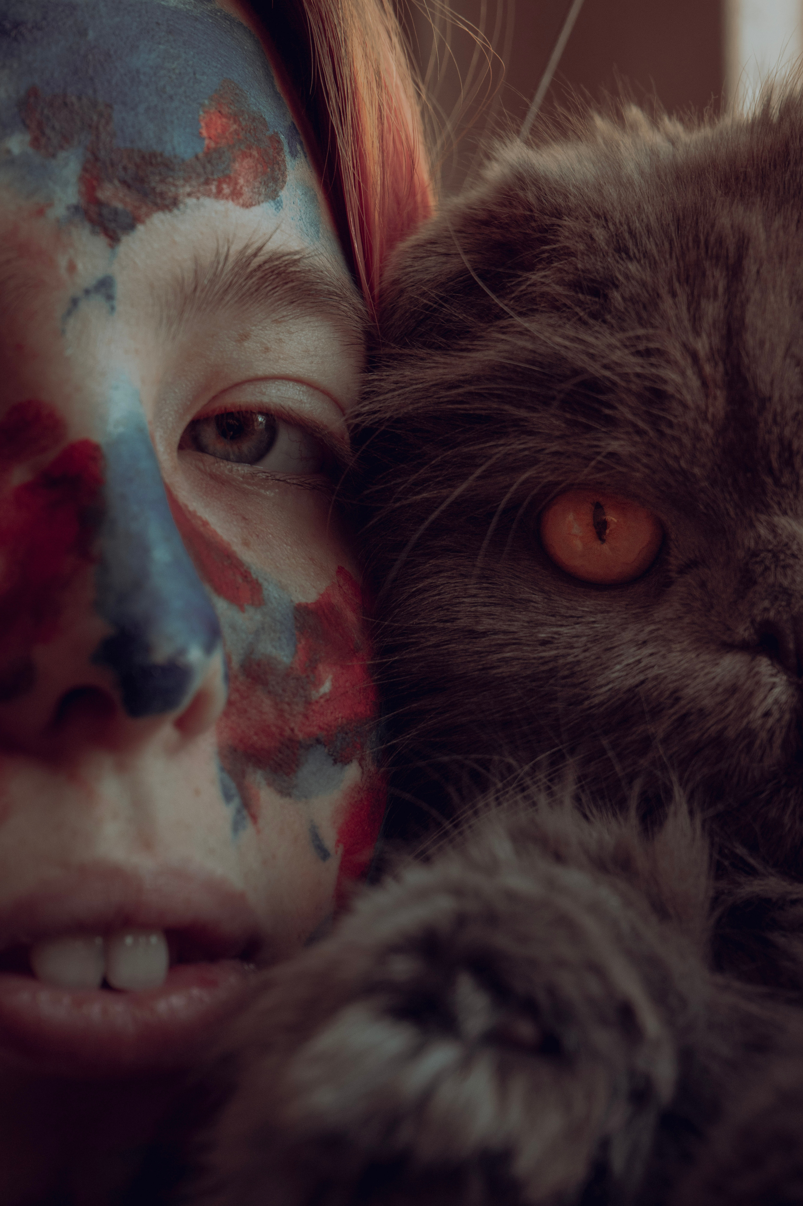 домашняя фотосессия с кошкой Питер