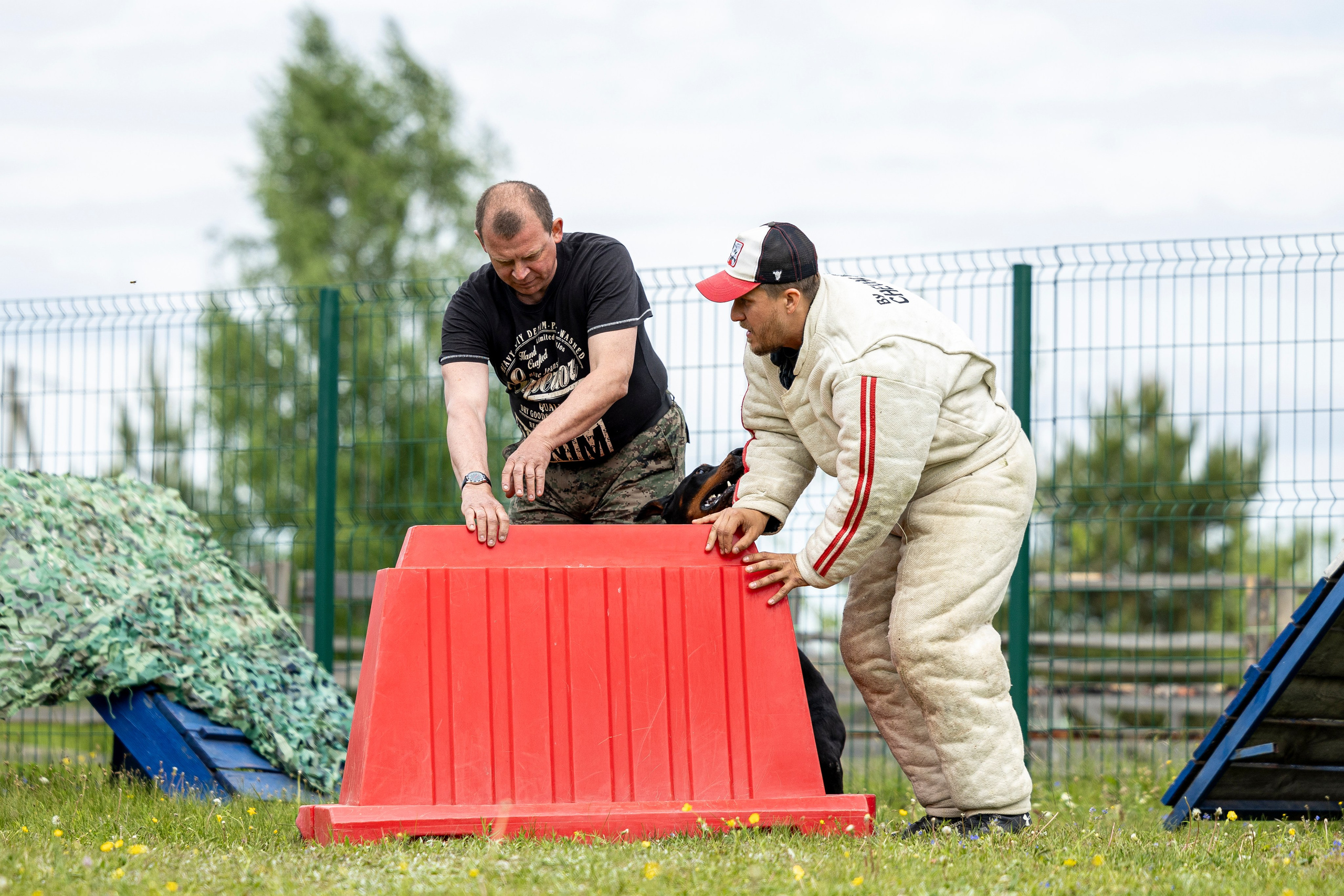 Испытания по мондьорингу в Нижнем Новгороде. Фотограф-анималист Анна Маринич