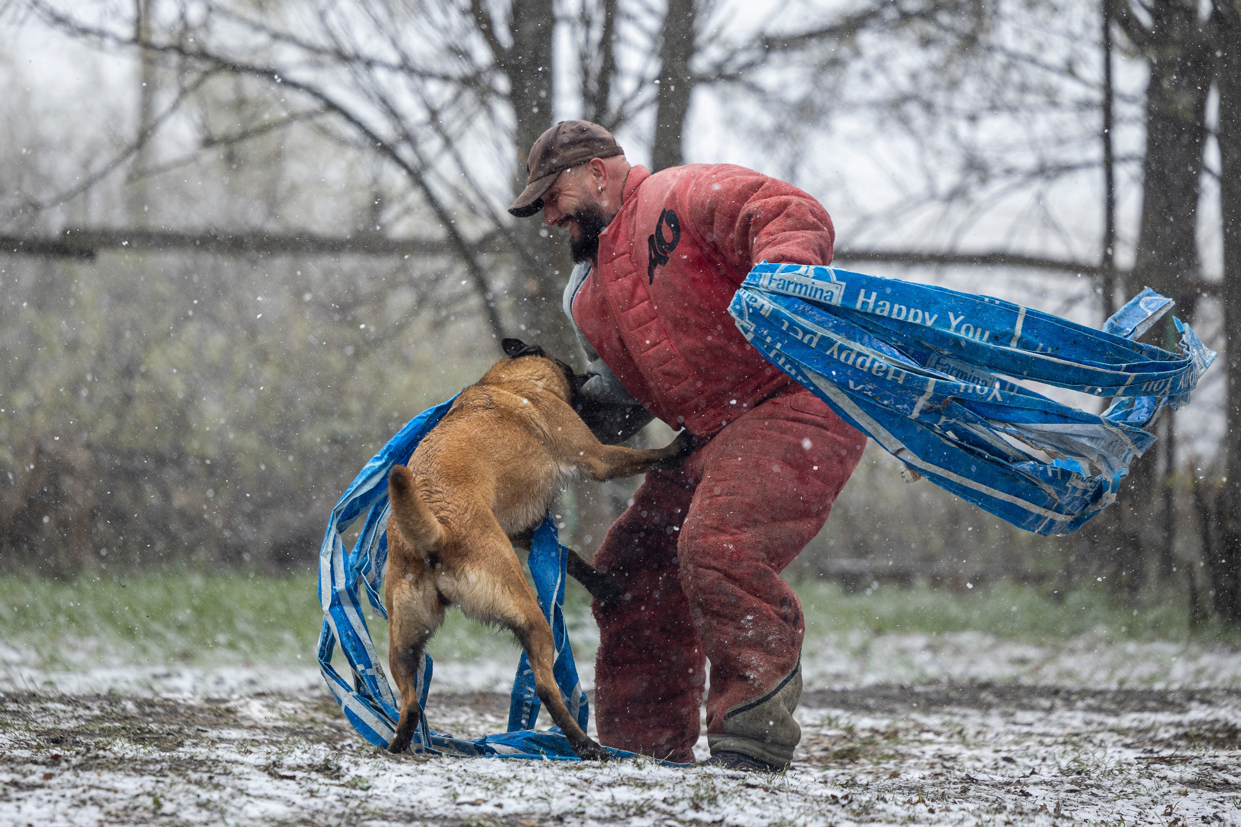 Квалификационные состязания по мондьорингу г. Вологда 11.05.24. Фотограф-анималист Анна Маринич