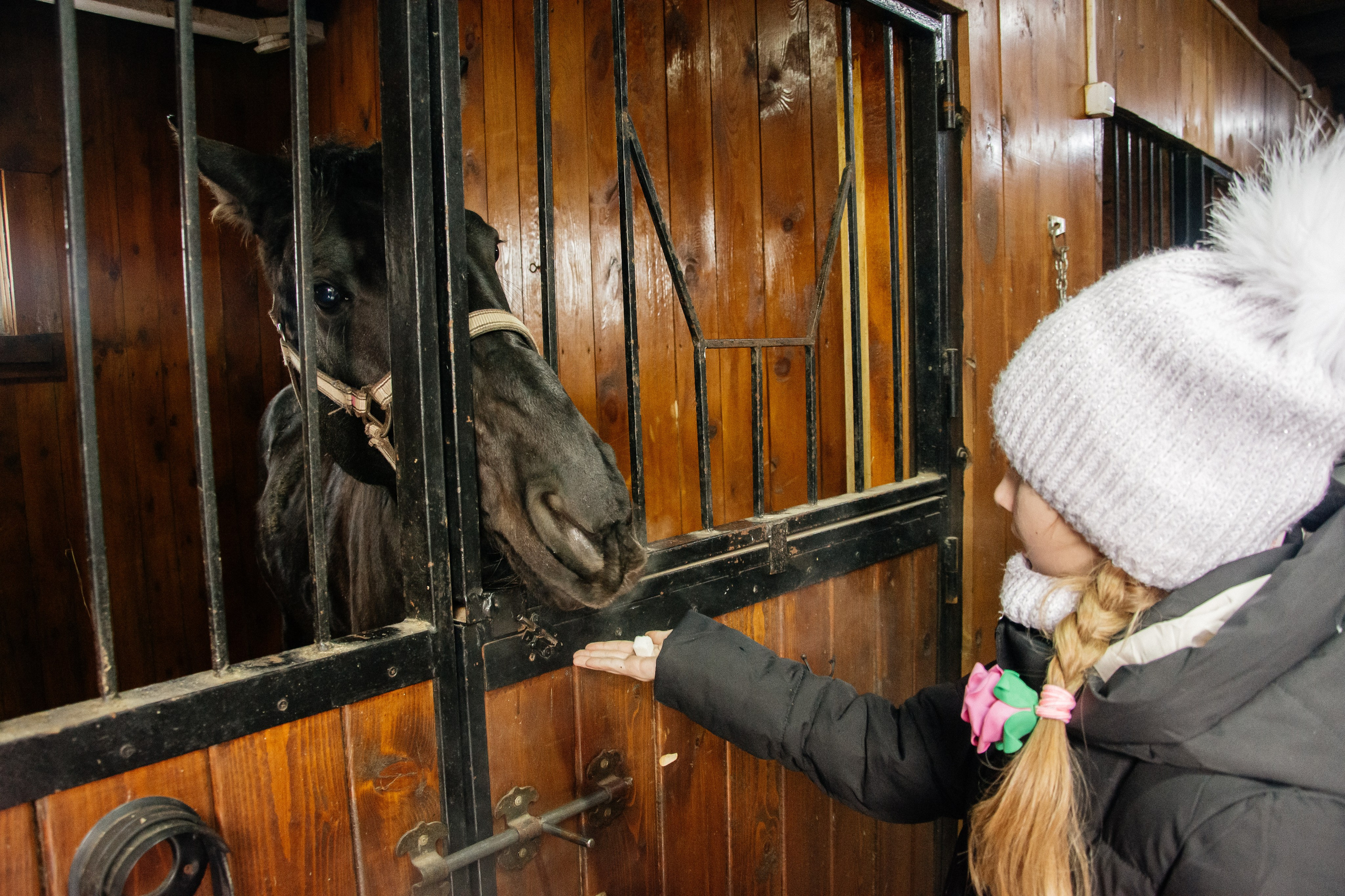 Детская прогулка. Фотограф на все случаи