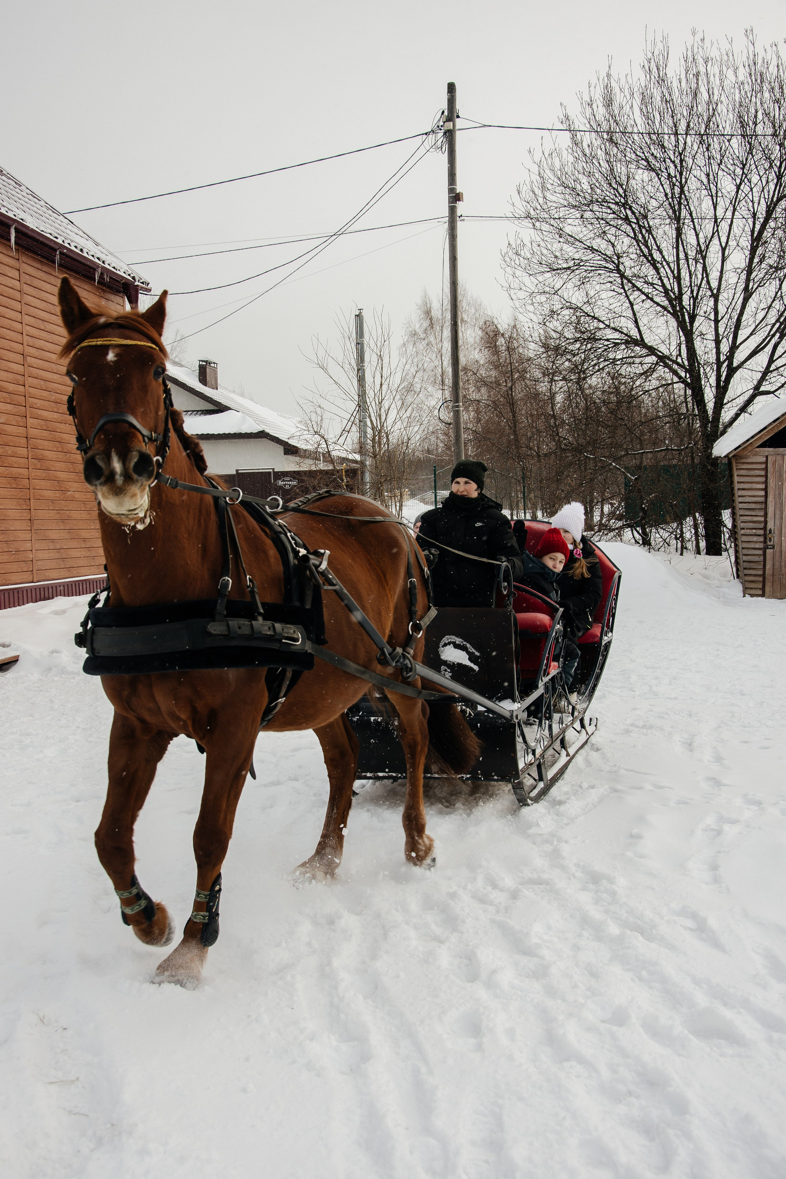 Детская прогулка. Фотограф на все случаи