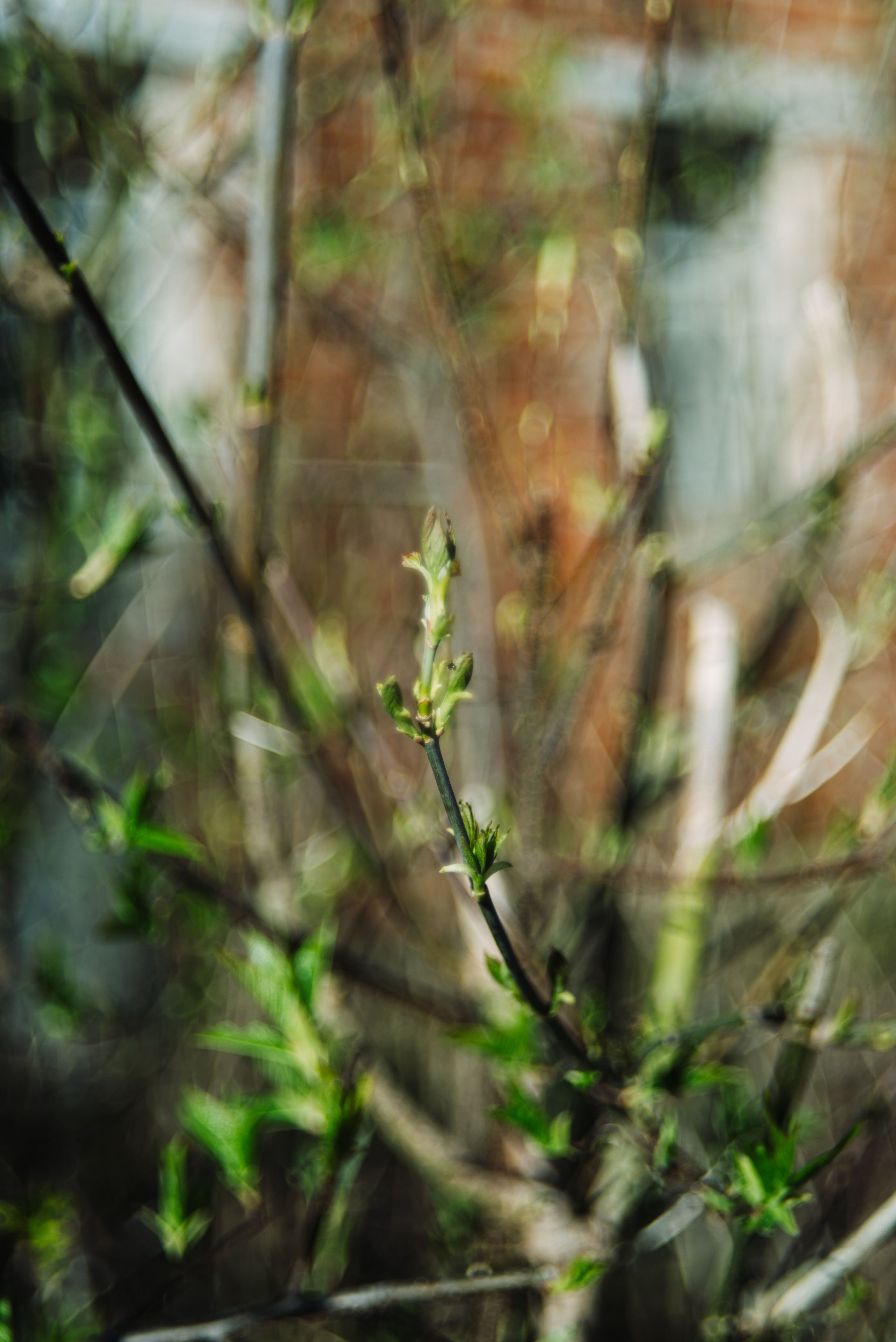 Орановка. Репортажный и портретный фотограф в Липецкой, Воронежской, Московской области Тёма Белоусов