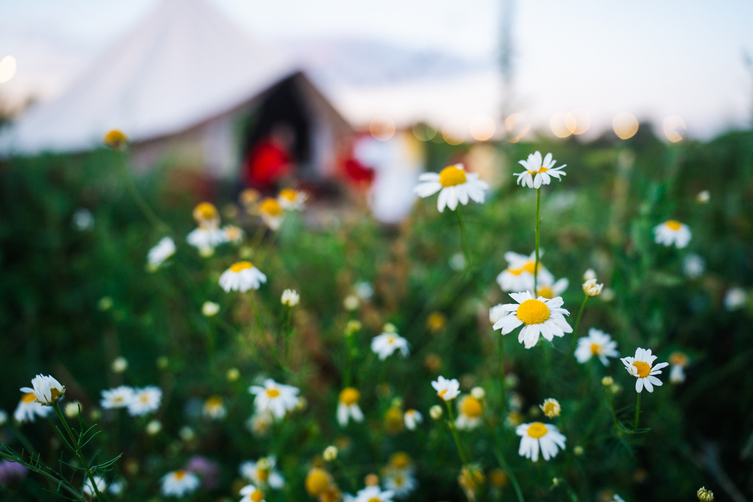 Девичник. Сыч. Фотограф в Воронеже Ольга Космодемьянская