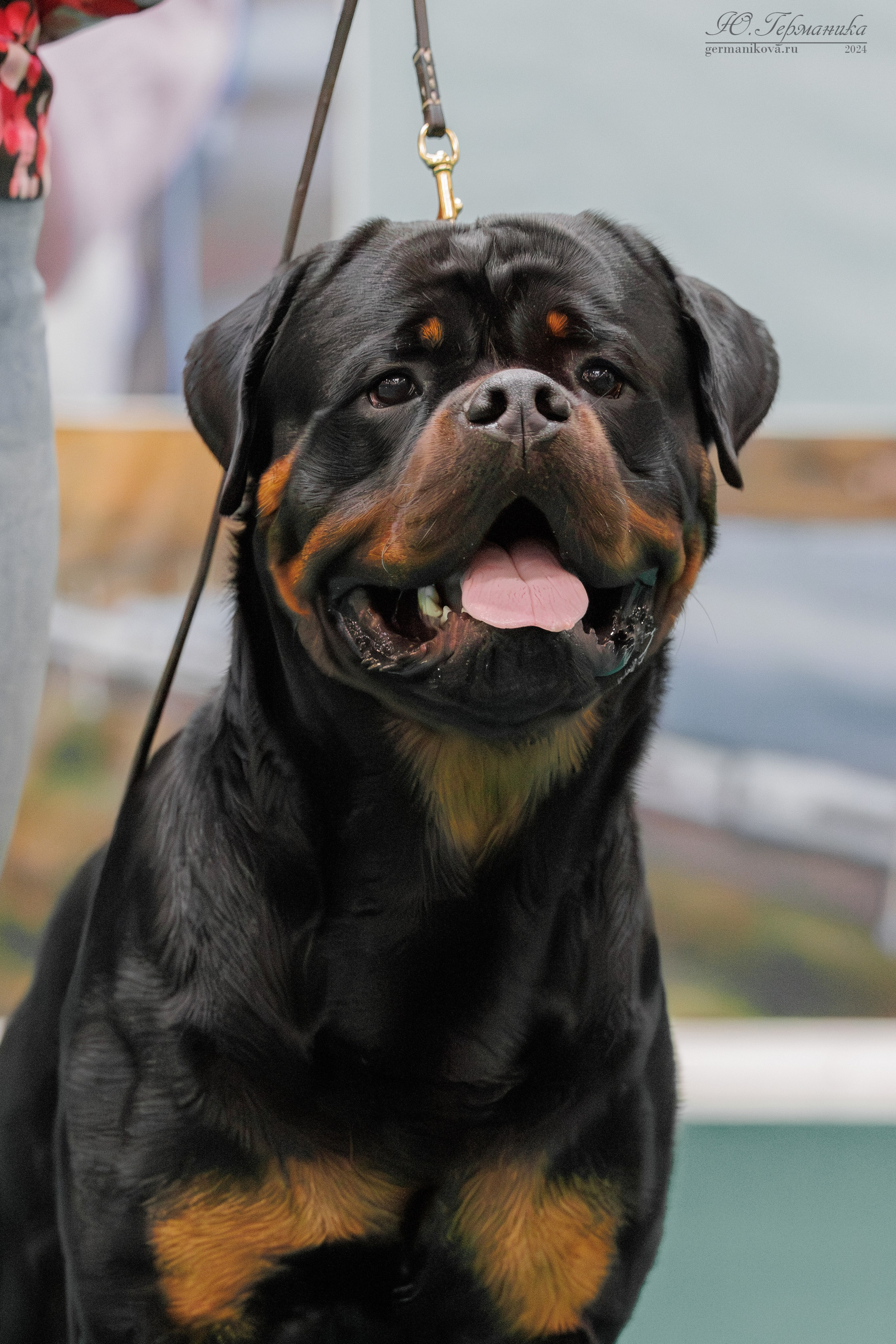 Сфера и Крокус 8,9,16 и 30.03.2025. Фотограф-анималист Юлия Германика