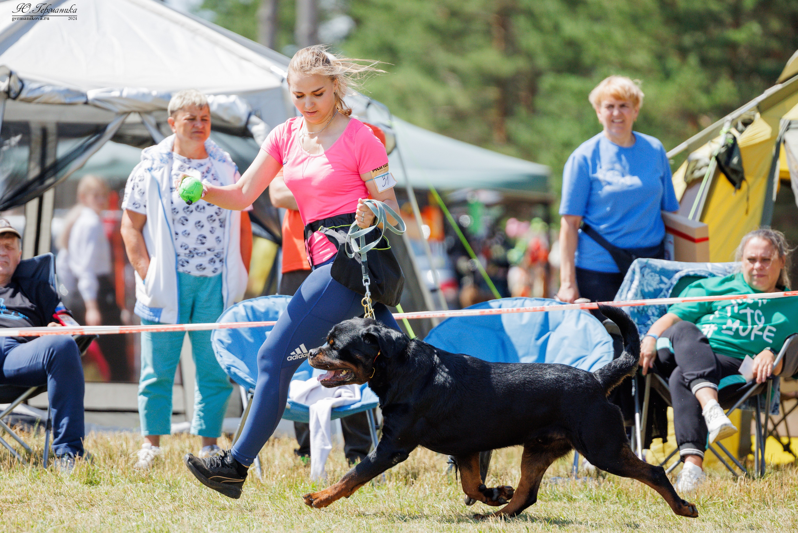 ПК и КЧК ротвейлеры Тверь 6-7.07.2024. Фотограф-анималист Юлия Германика