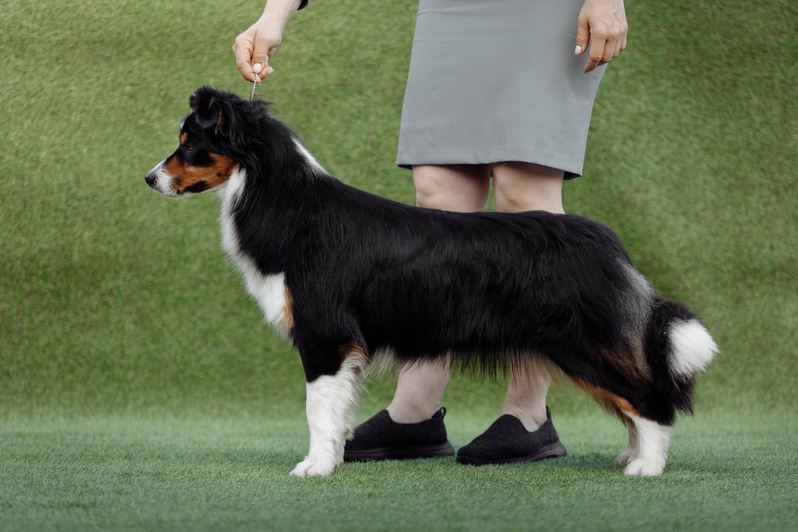 Свое место. О нас