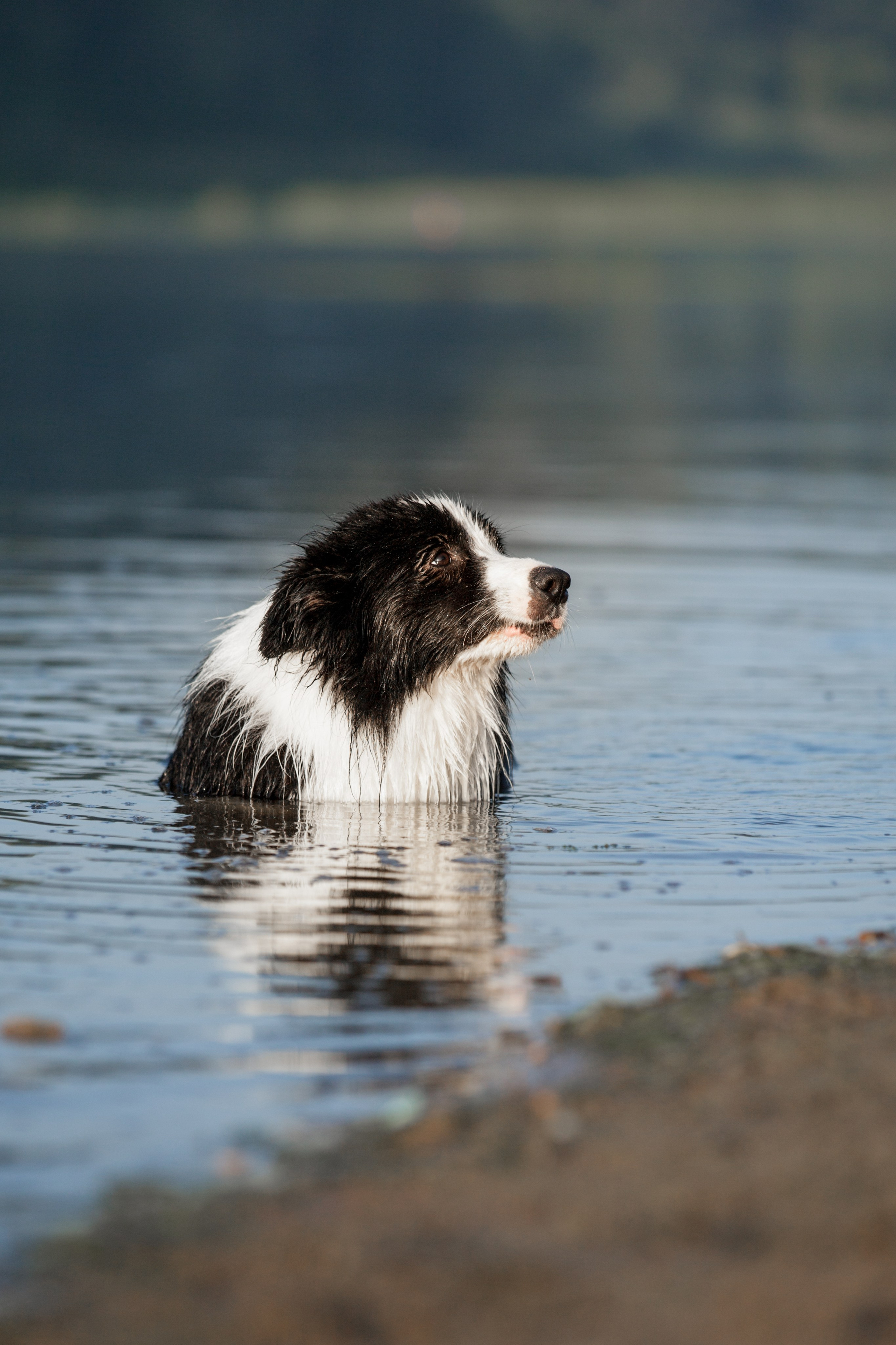 Сочный рассвет, на который решились. О нас