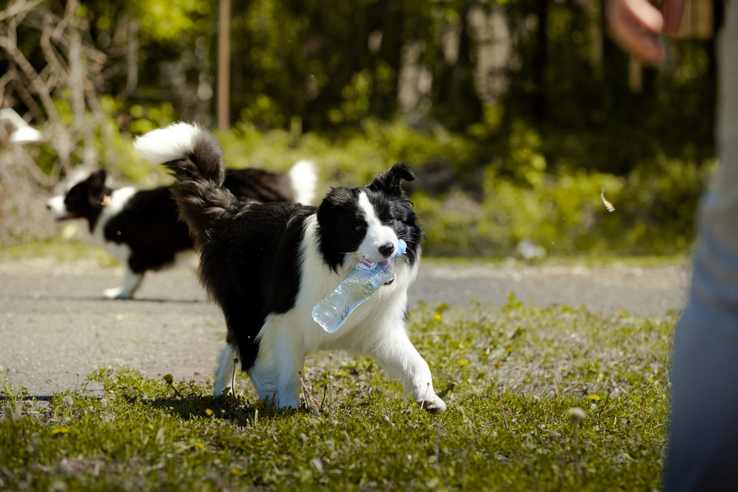 Зеленое в Оренбурге 19. О нас