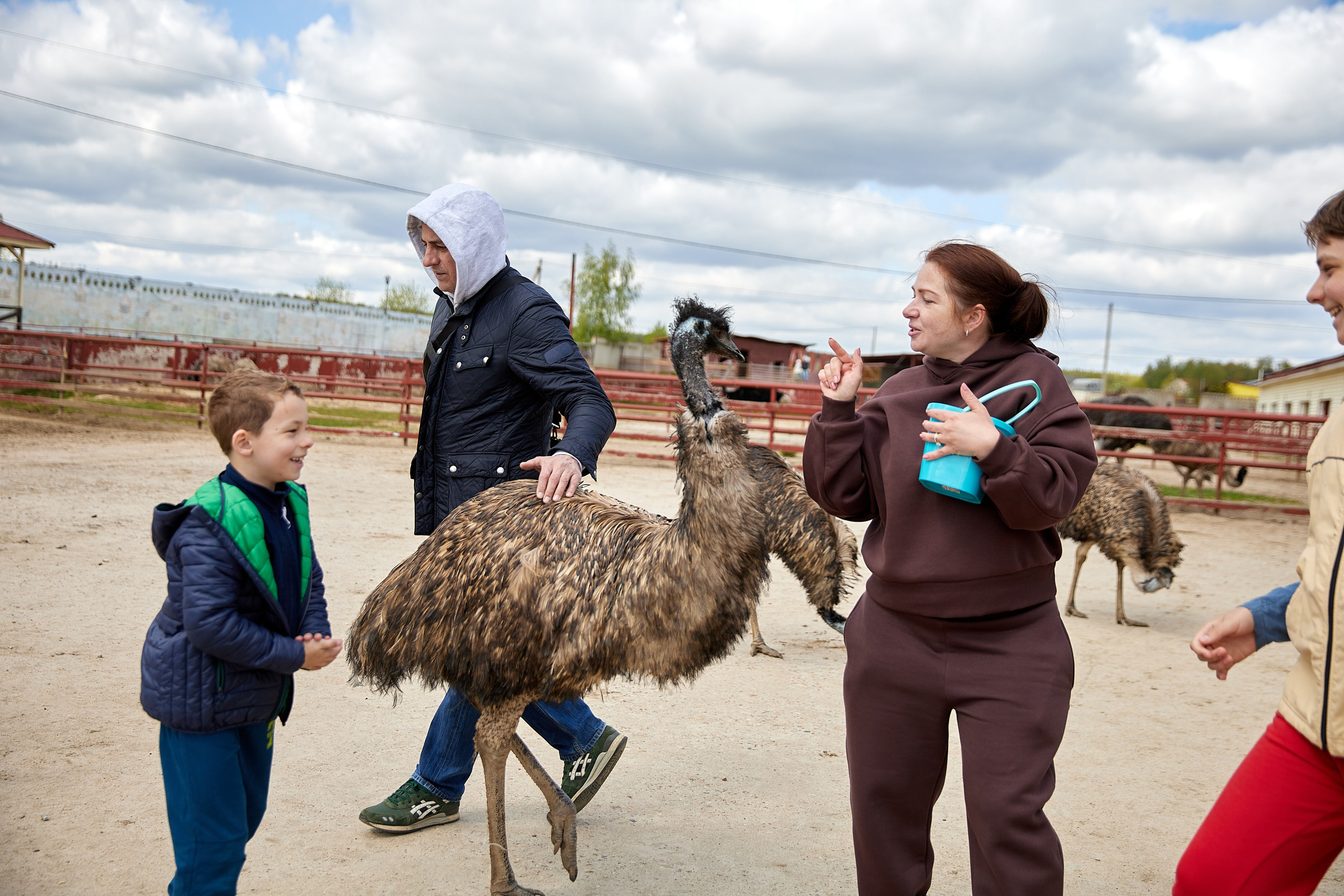 На ферме. Главная
