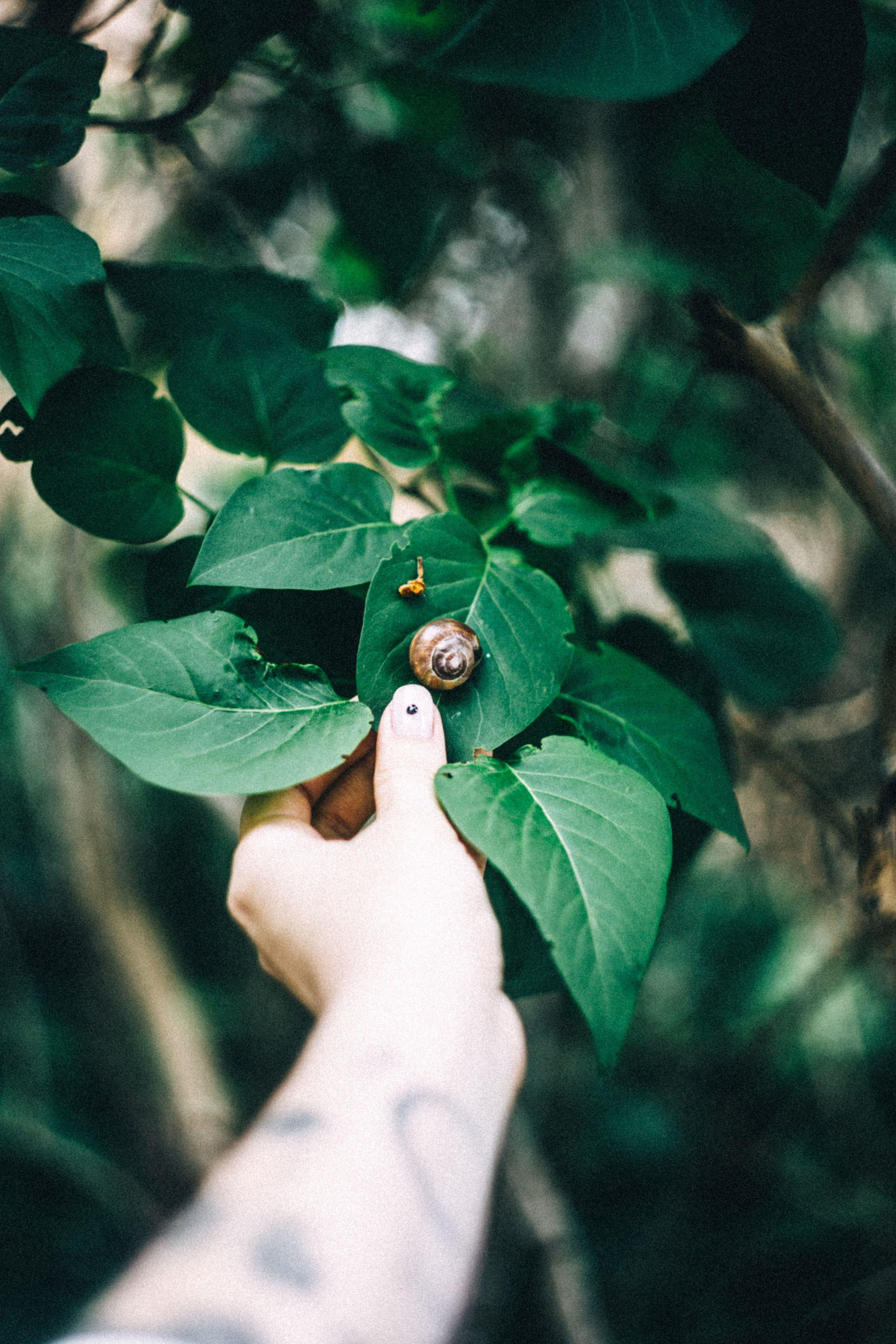 Лена. «Teen space». Фотограф в Нижнем Новгороде
