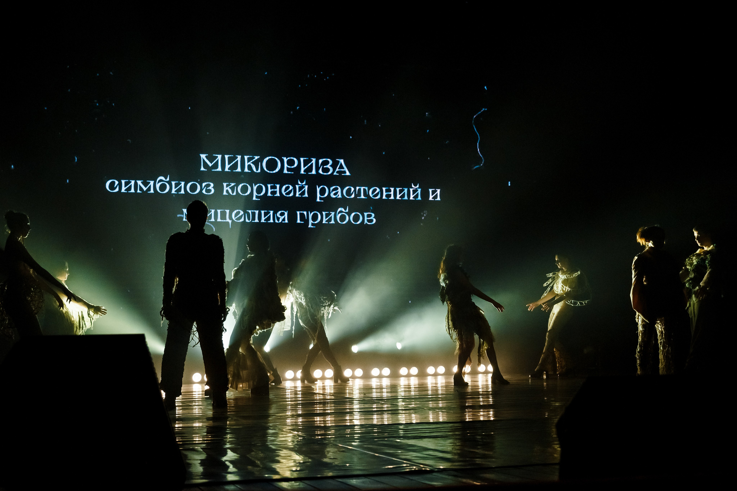 Концерт Педагогического университета. Ksenia de Rossi | Съемка в Самаре