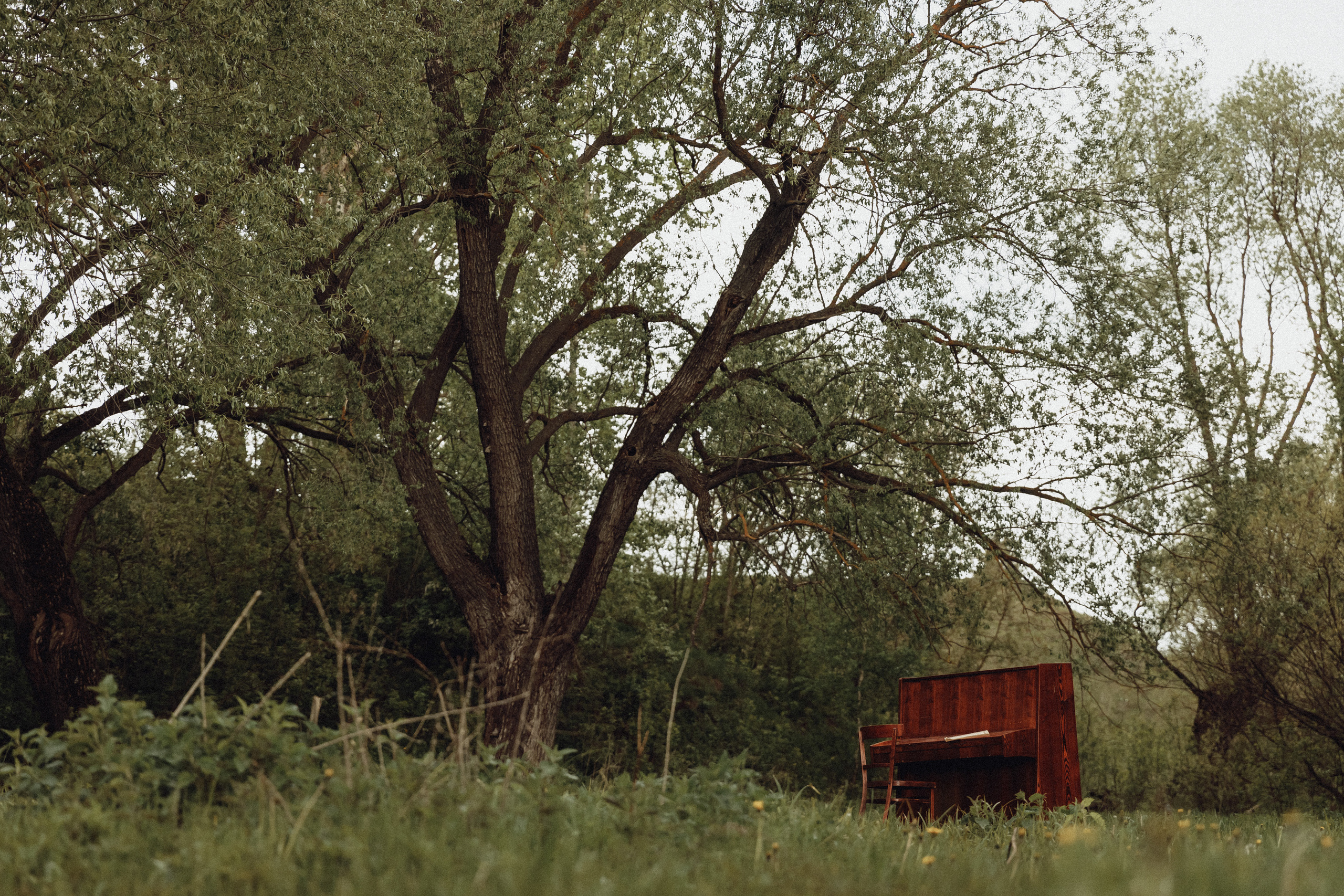 Sofia and Pasha and piano. Свадебный фотограф Казань Чебоксары Москва