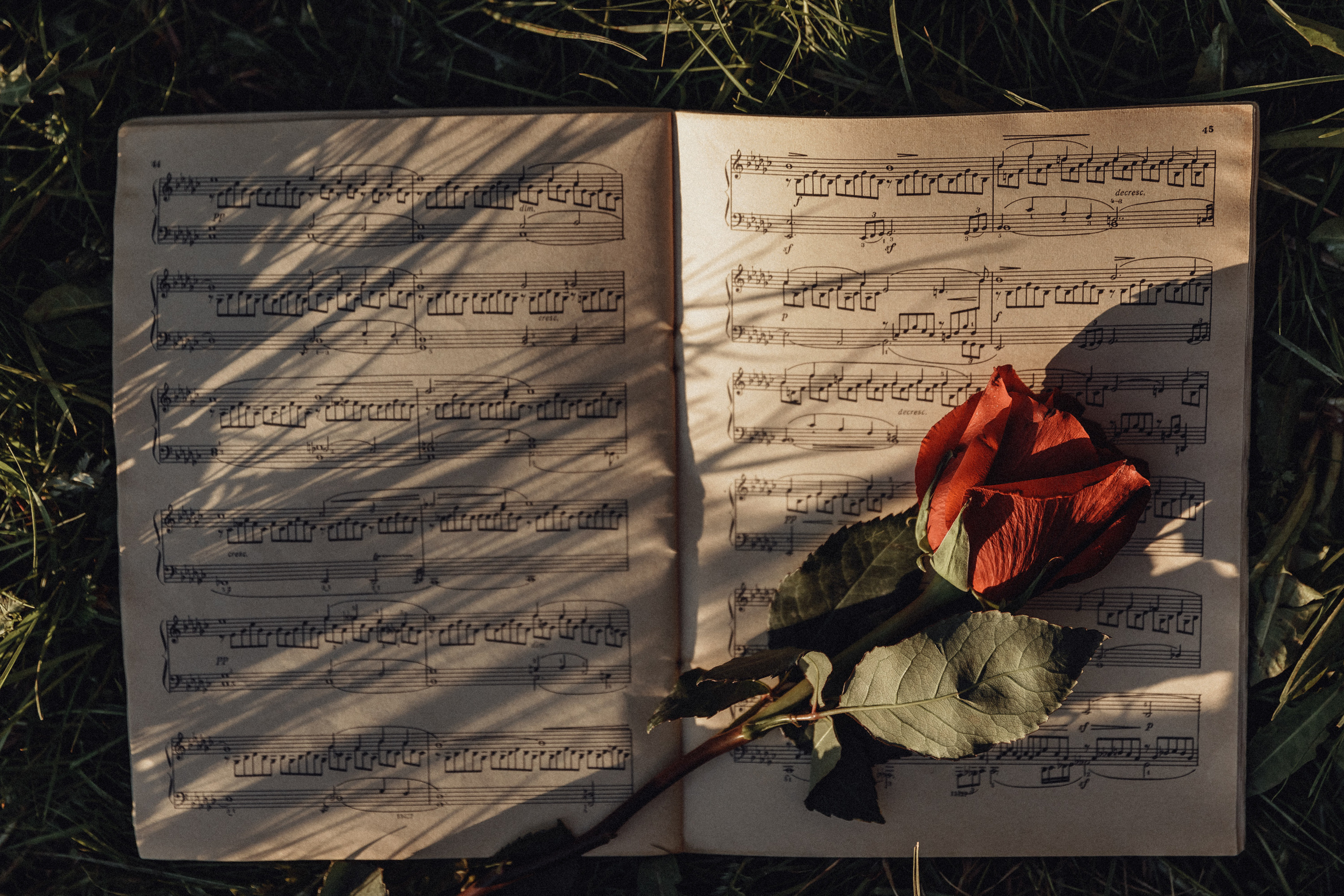 Sofia and Pasha and piano. Свадебный фотограф Казань Чебоксары Москва