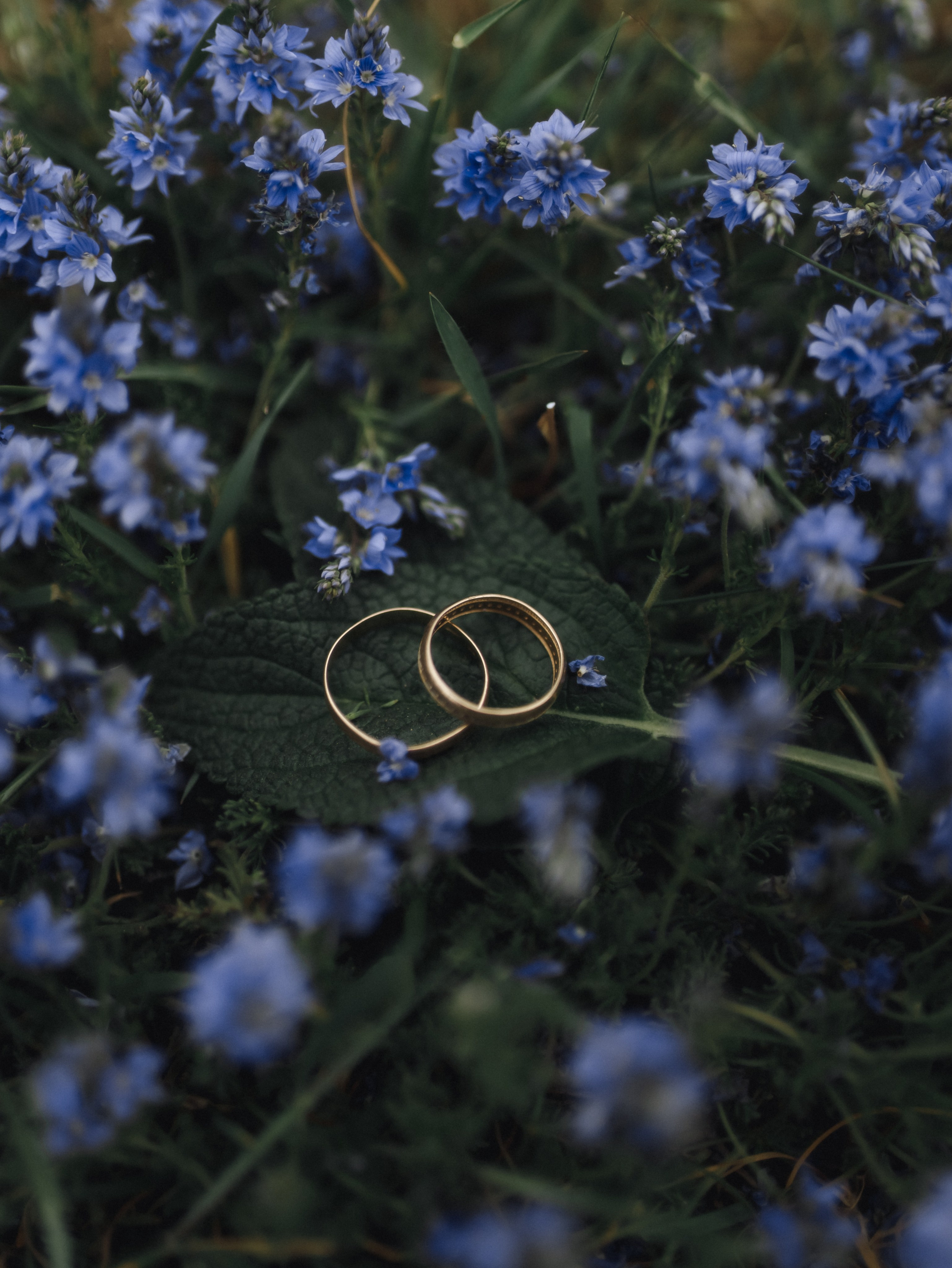 Regina & Alexander. Свадебный фотограф в Севастополе и Крыму| Tanya Sher