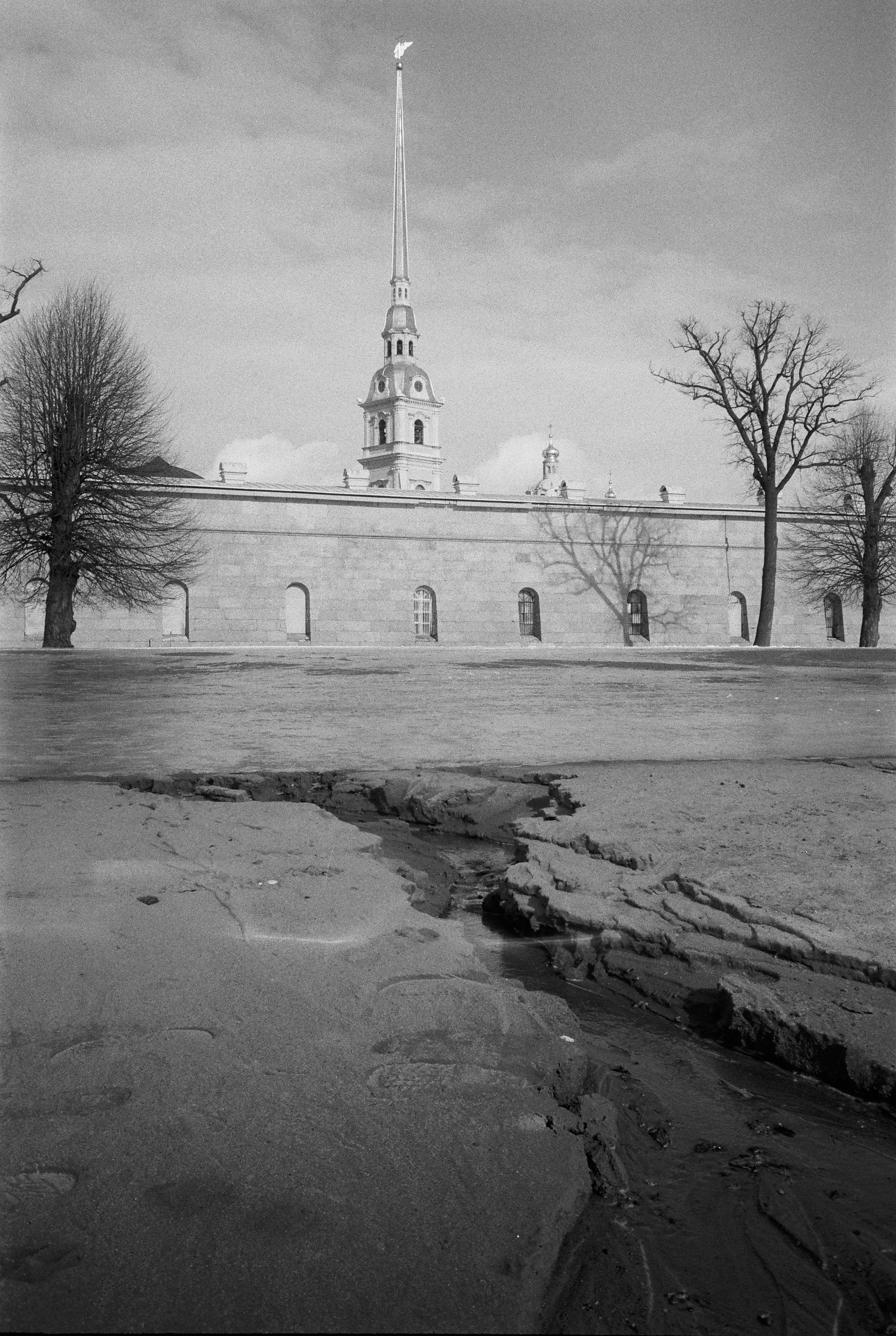 Фотографии черно-белые. Свадебный и семейный пленочный фотограф в Петербурге Истомина Ирина