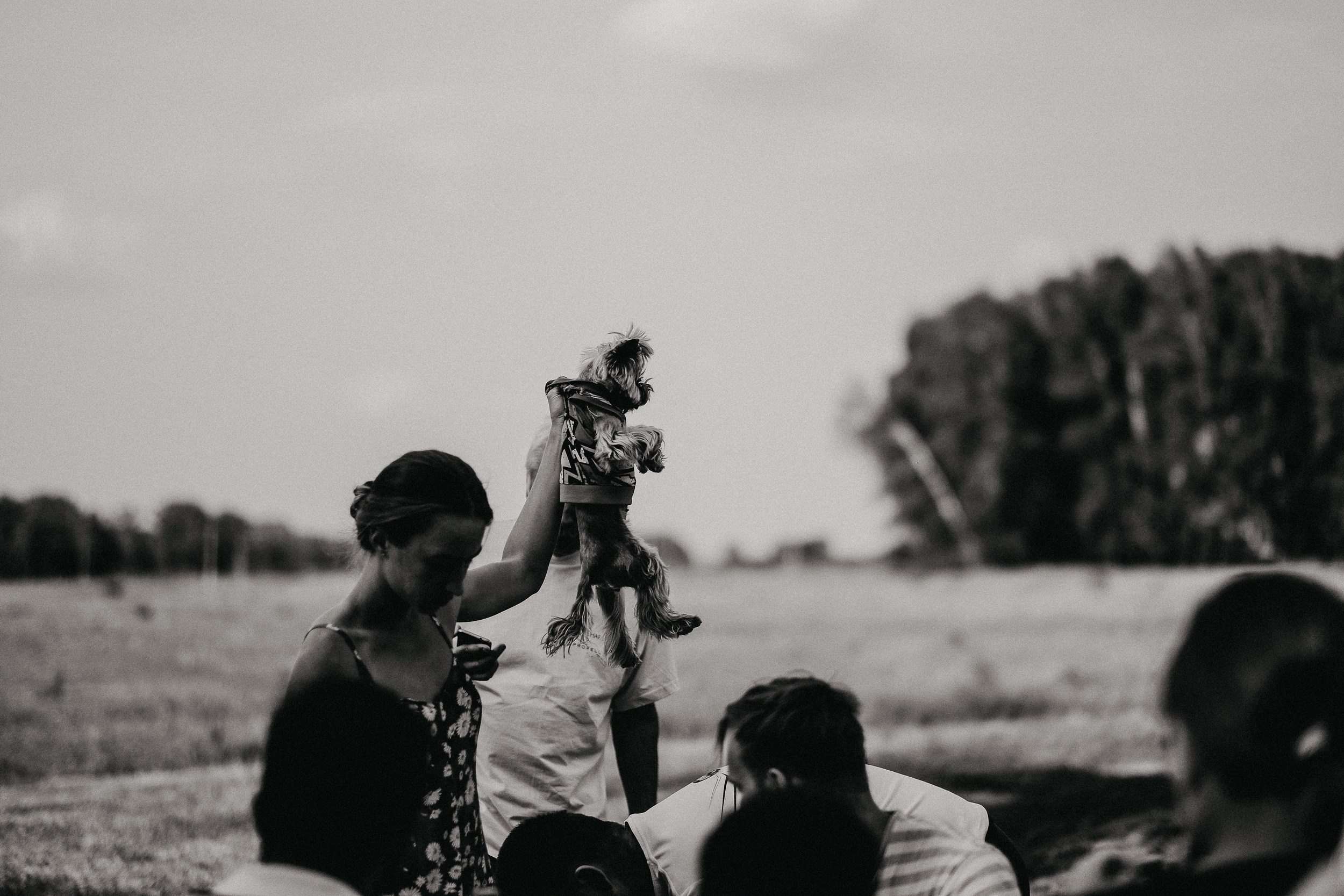 Свадьба на аэродроме