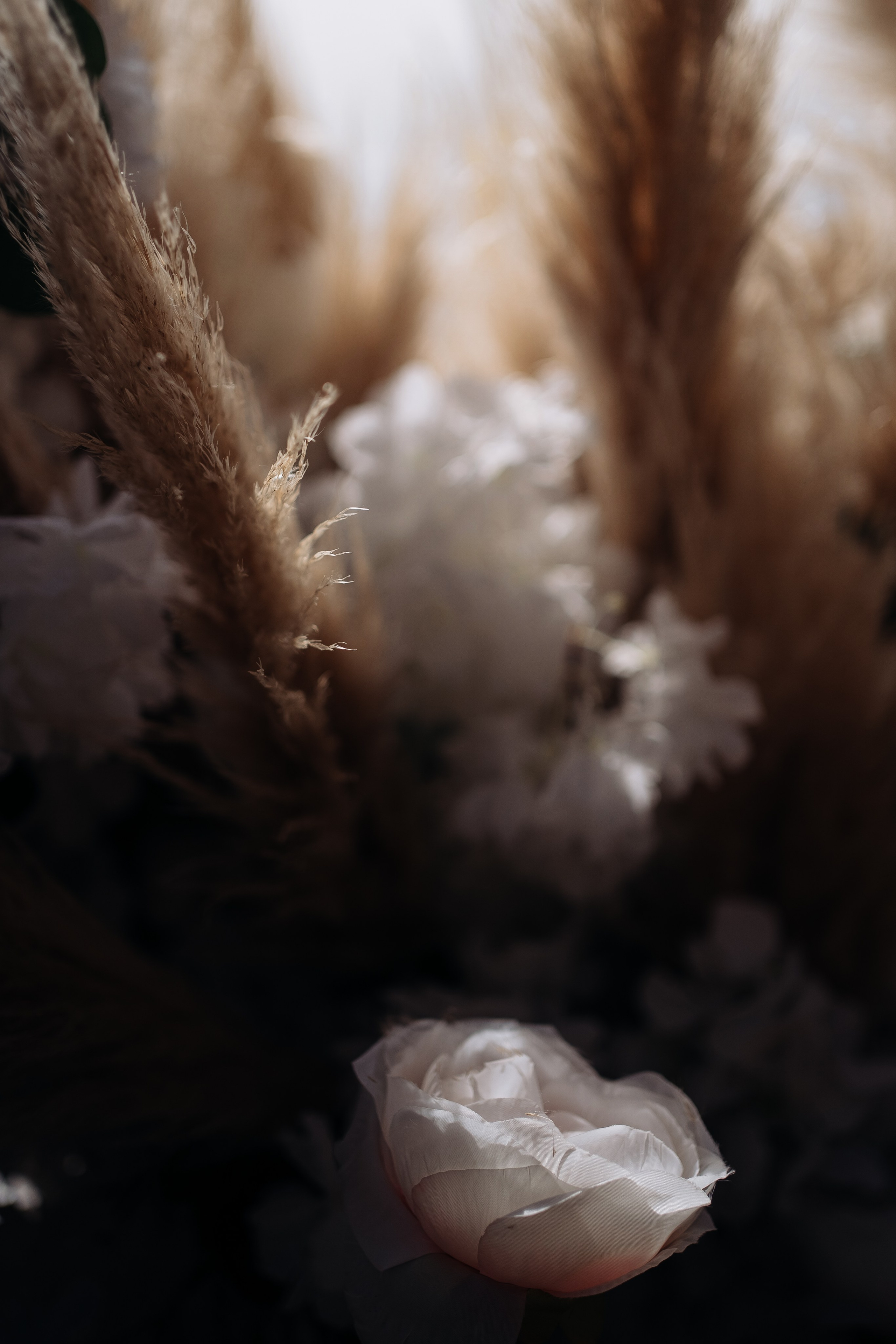 Ярославна и Артём. Фотограф Тверь. Анна Драго