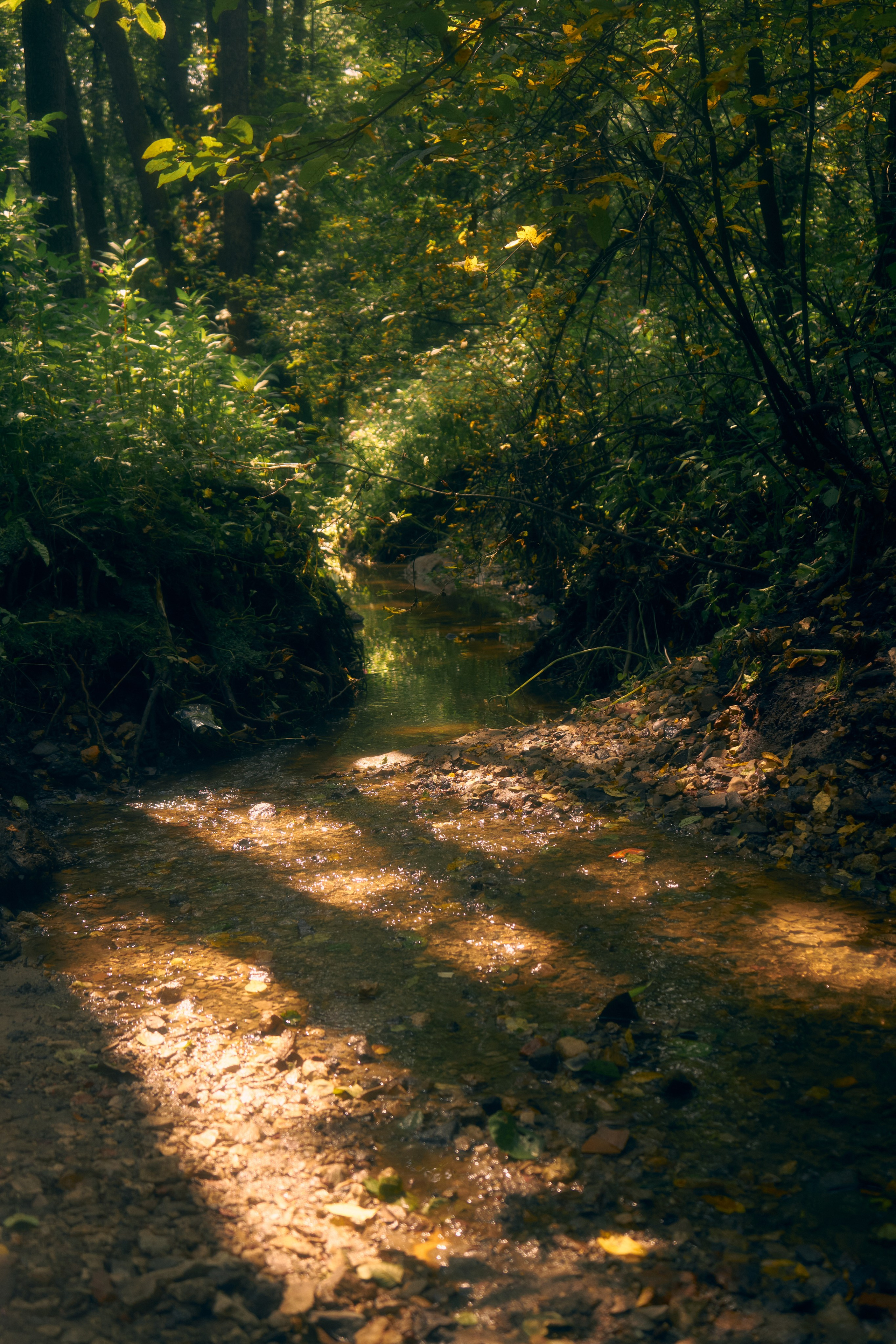 Агата🌸. Валери. Фотограф твоей семьи и твоей внутренней нимфы. Москва МО