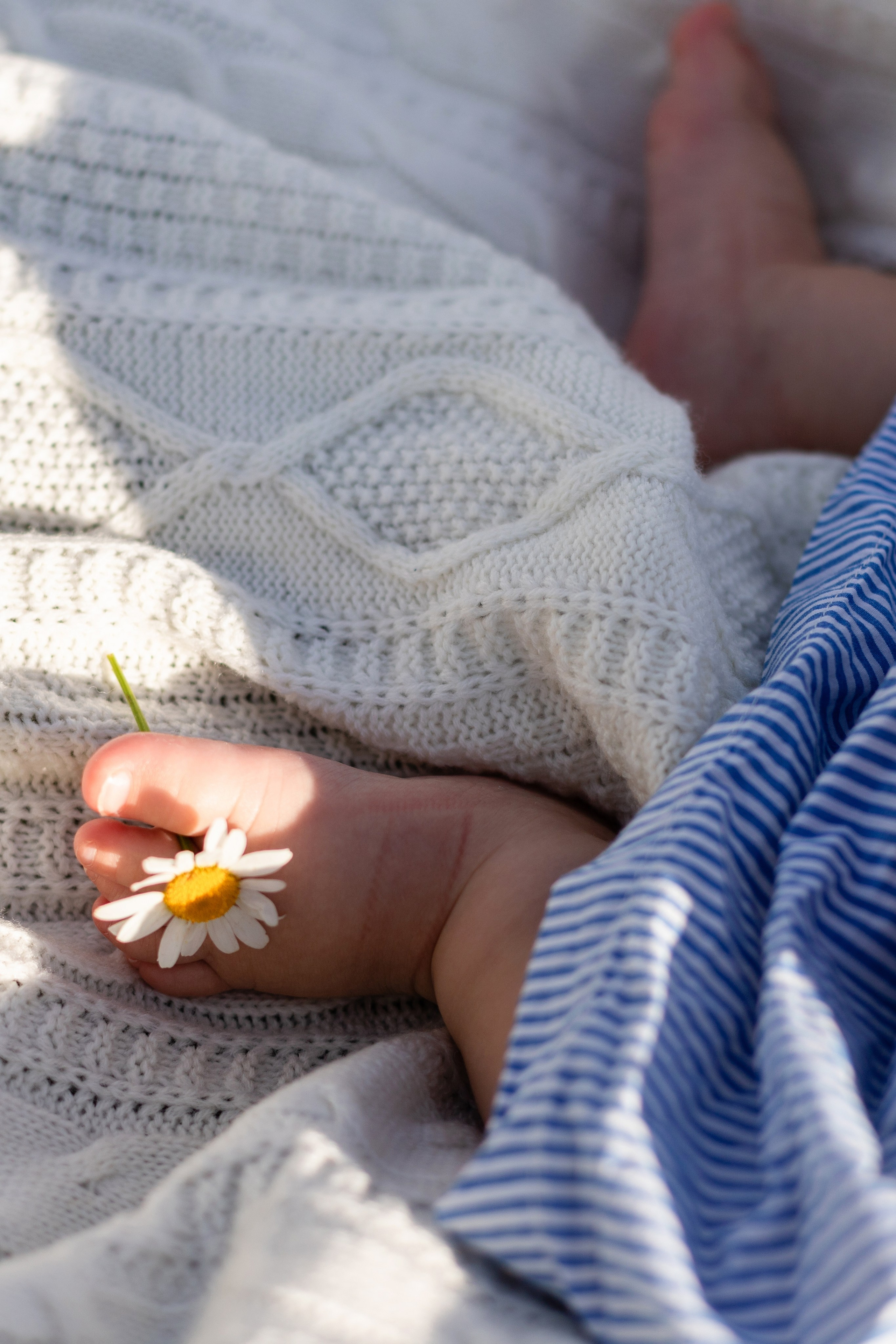 Фотопрогулки. Семейный фотограф в Красноярске Наталья Алина