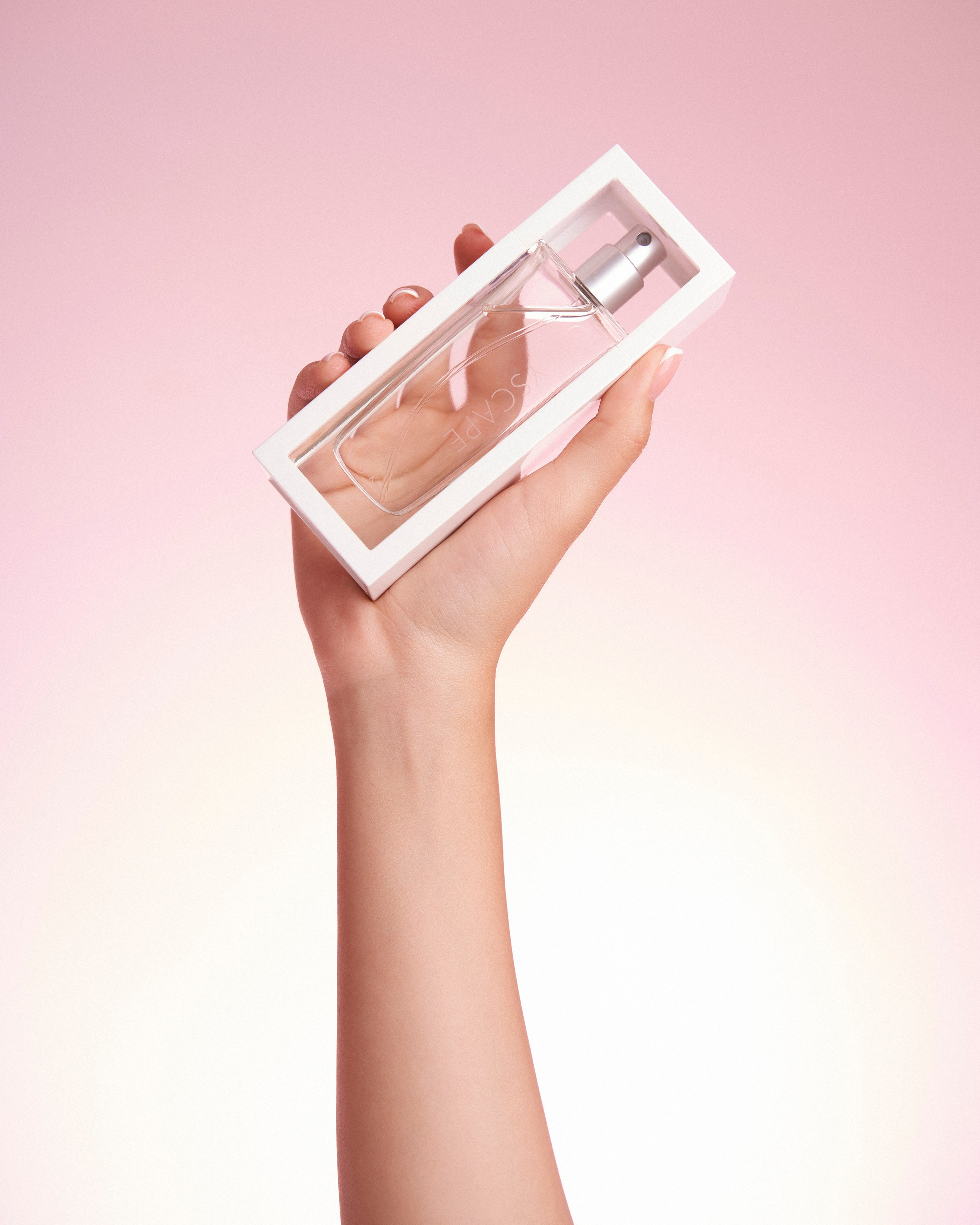 Still life. Photographer