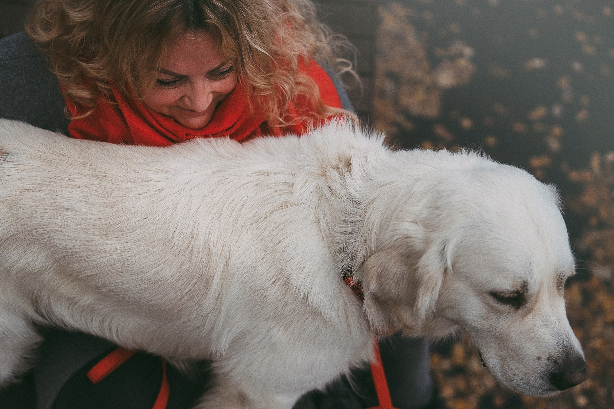 Лена и Мерлин. Фотограф анималист в Москве и Санкт-Петербурге Свиридова Анна