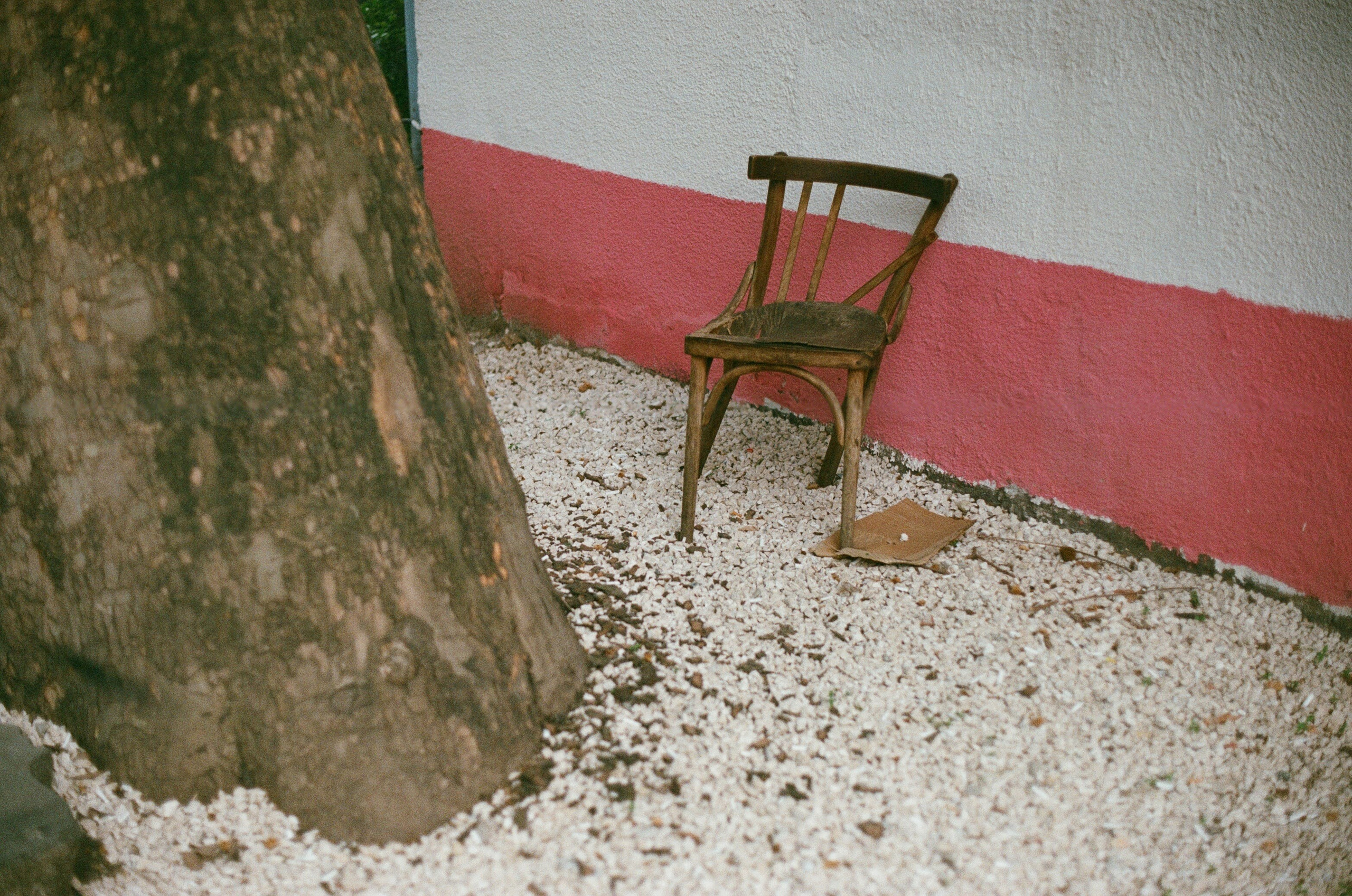 Georia Colour. Aleksander Chernov — Documentary filmmaker and photographer