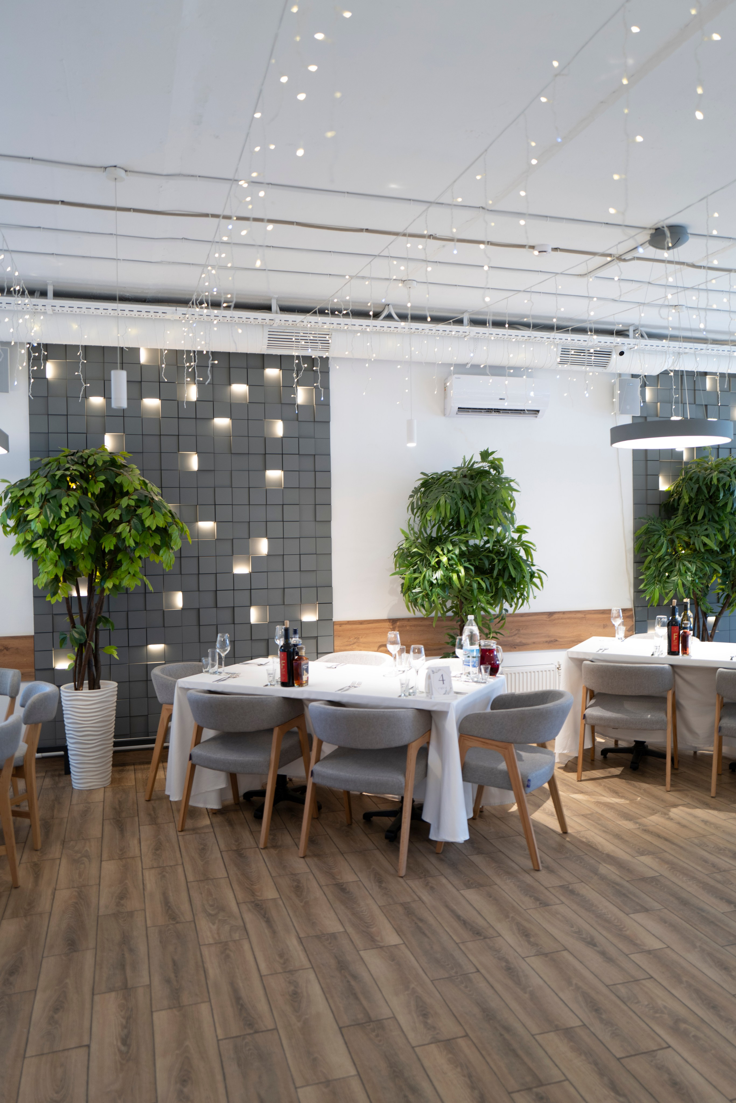 Рестораны. Maxon Magnusson