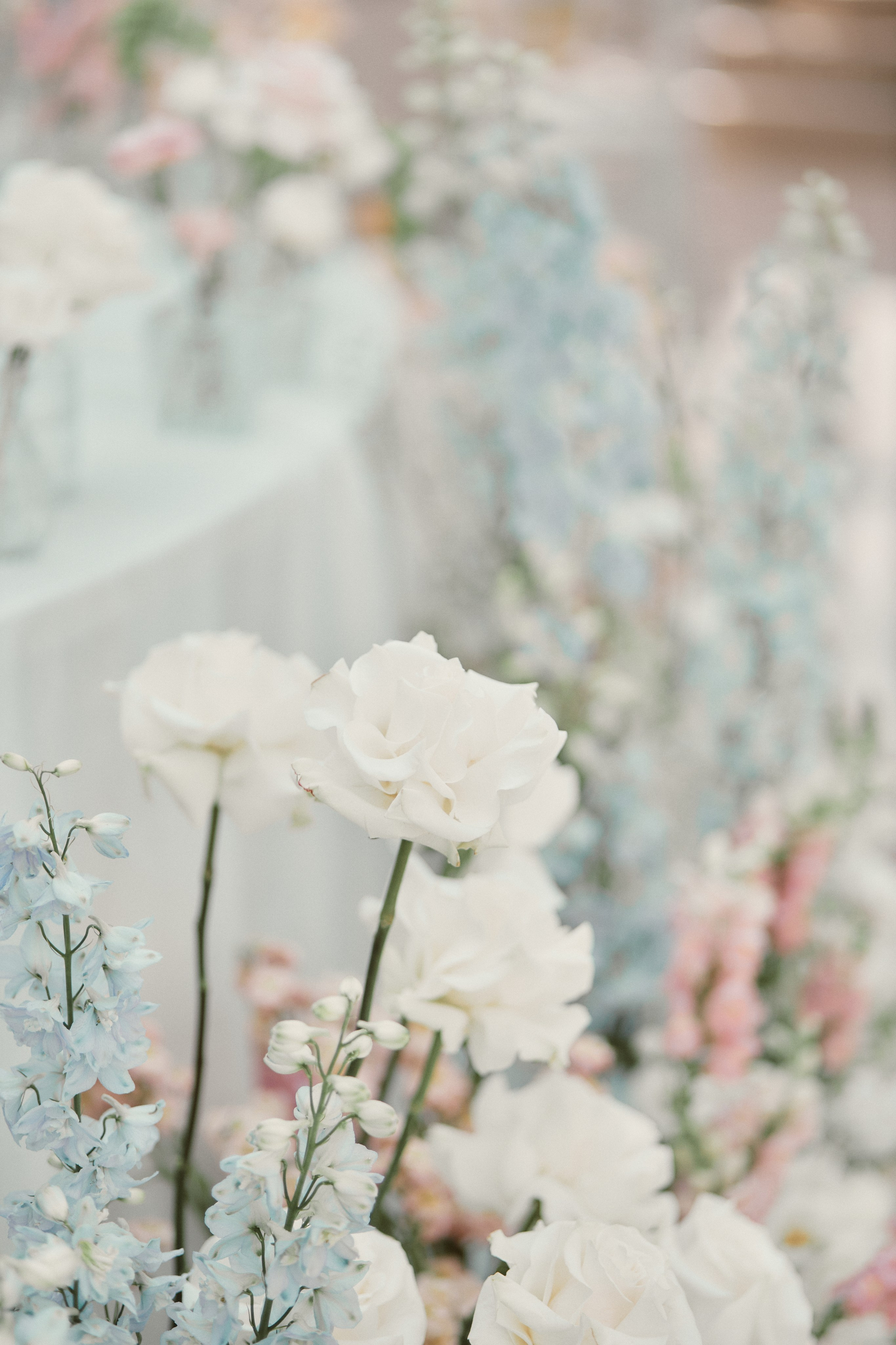 Анна и Александр. Фотограф Краснодар