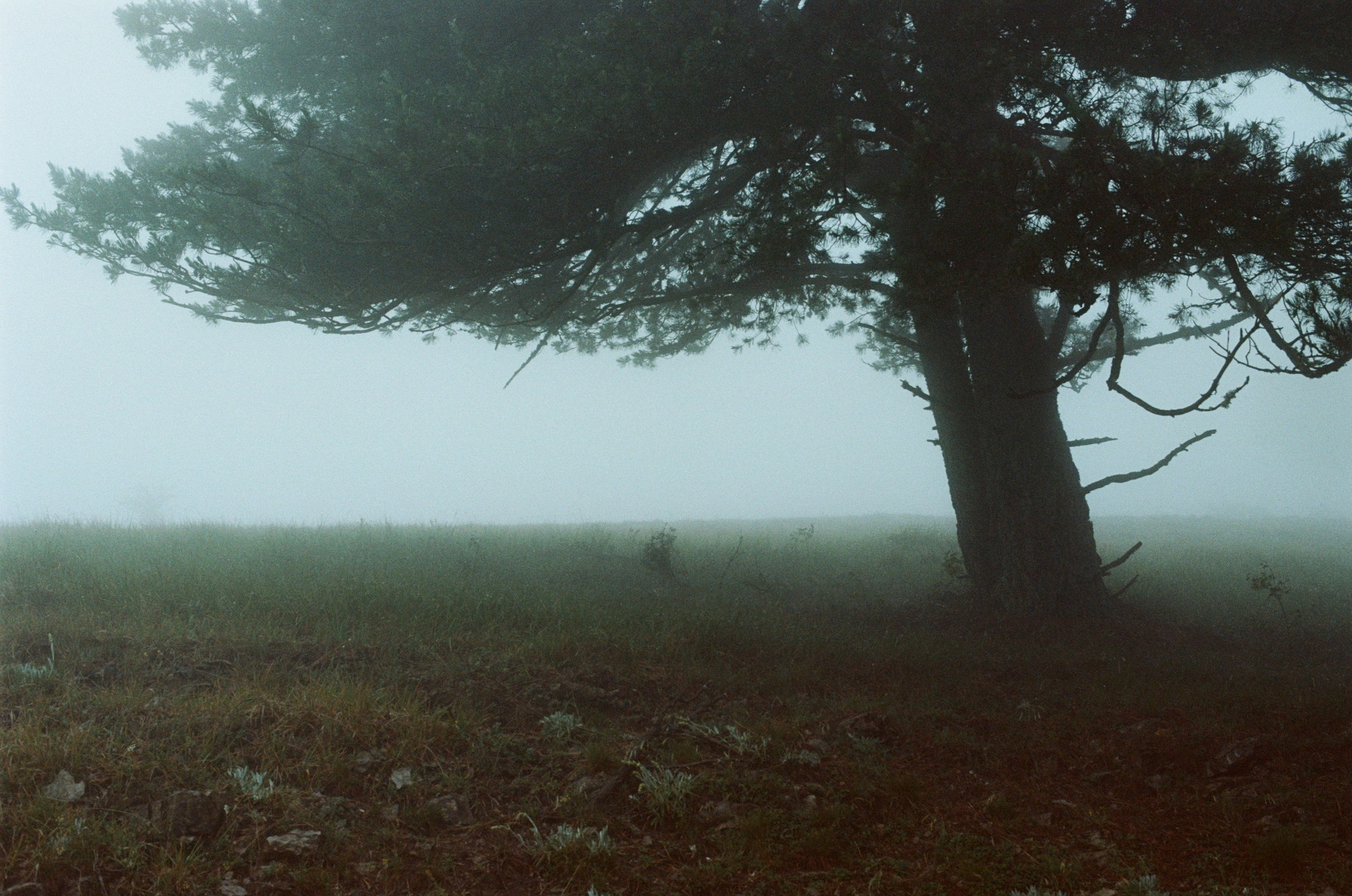 Dig it // ukraine, crimea. EVER EXPOSED