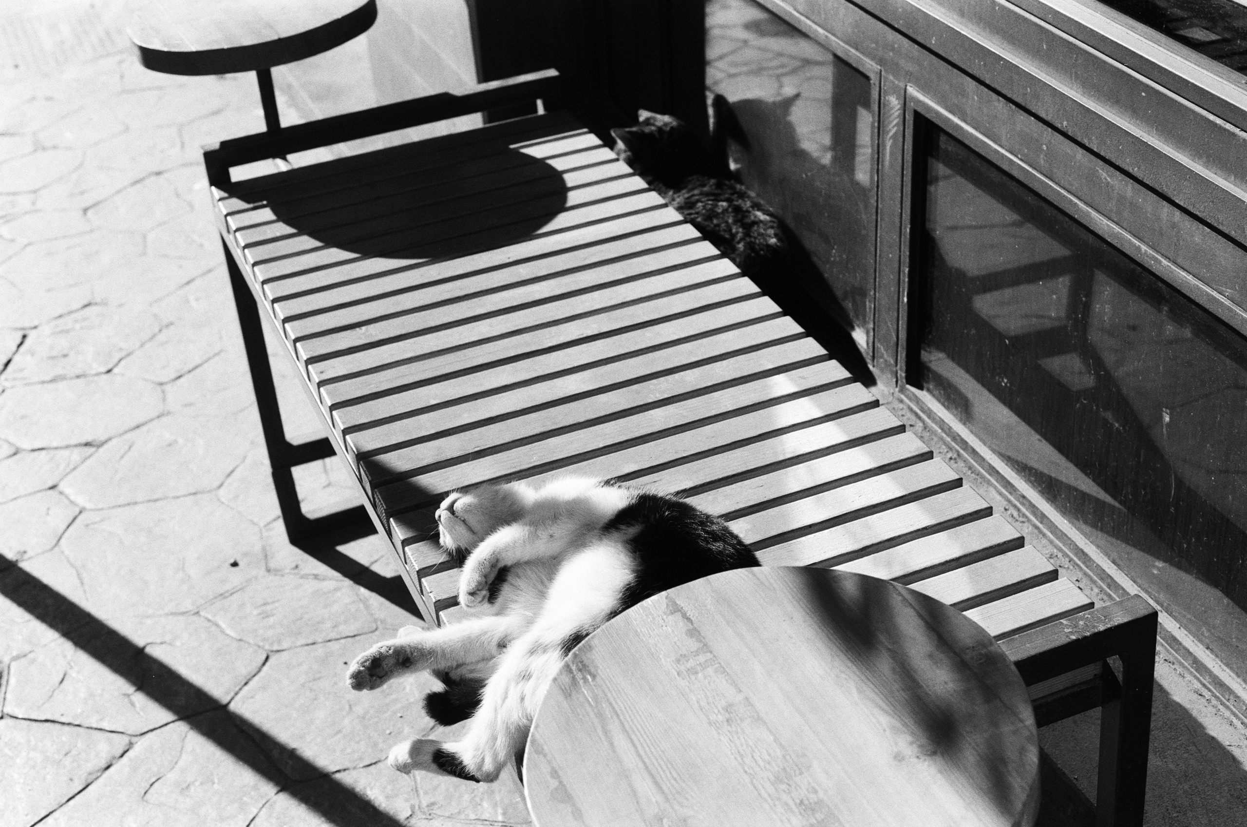 Complicated // turkey, istanbul VI. EVER EXPOSED