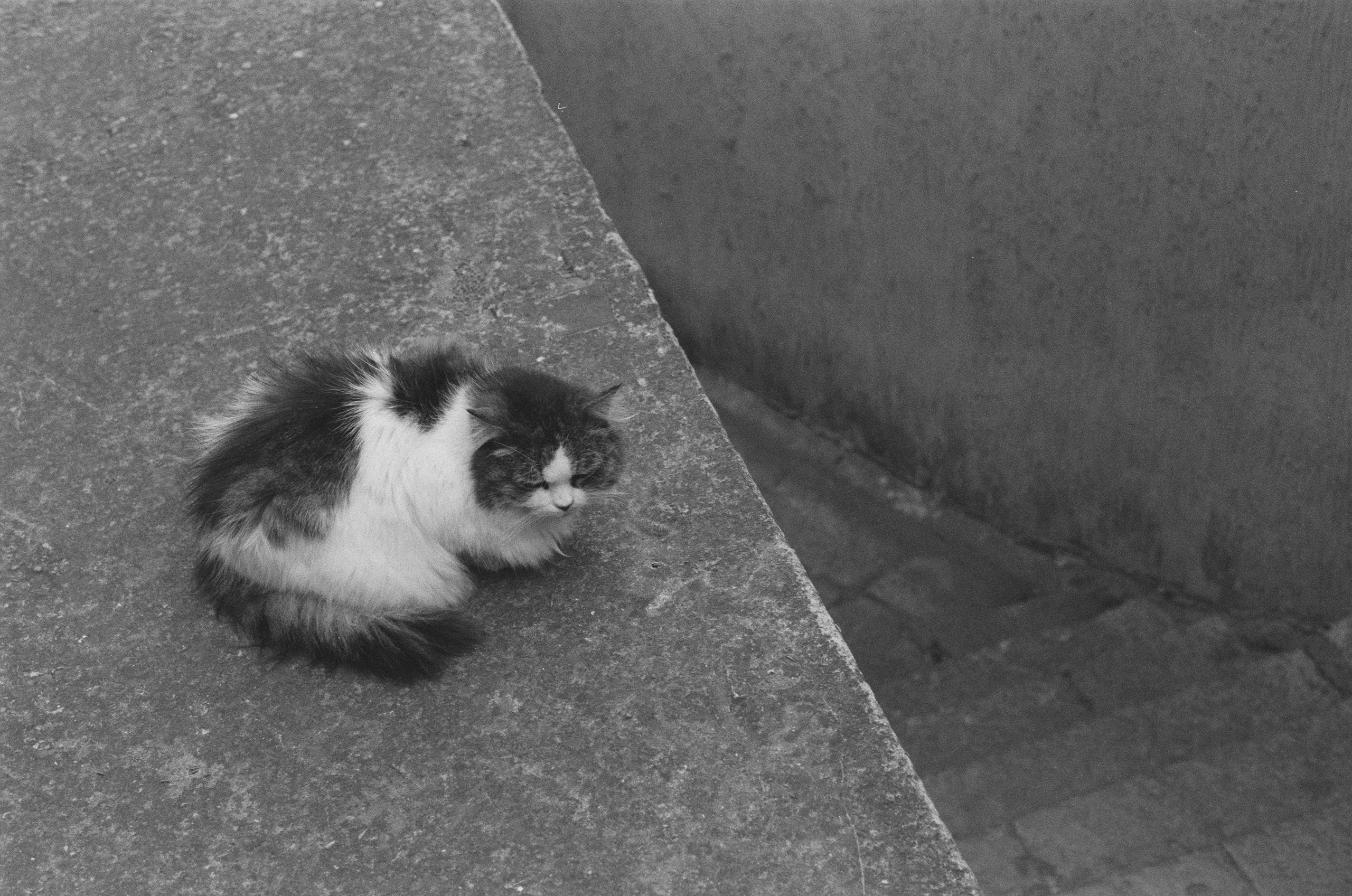 Plastinki // ukraine, crimea III. EVER EXPOSED