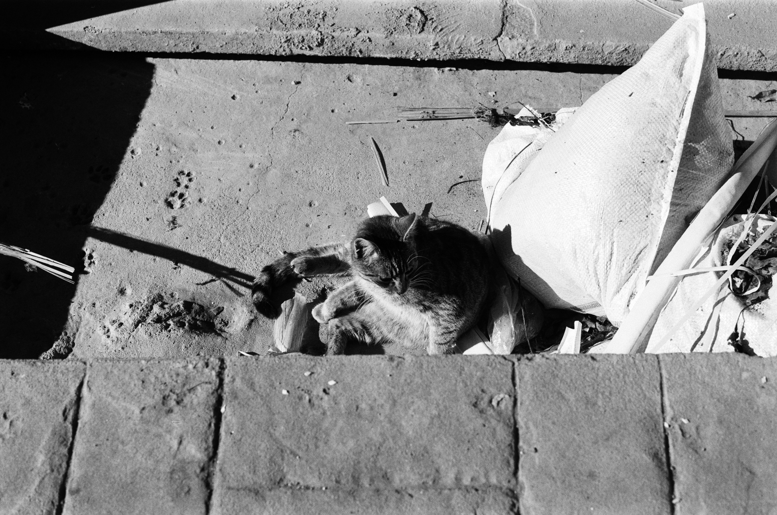 Complicated // turkey, istanbul VI. EVER EXPOSED