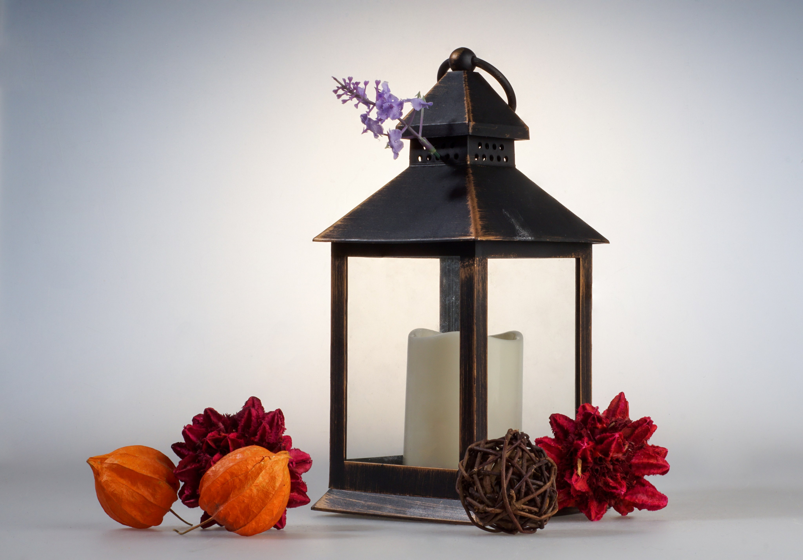 Разное. Фотограф в Санкт-Петербурге Виктория Барышникова