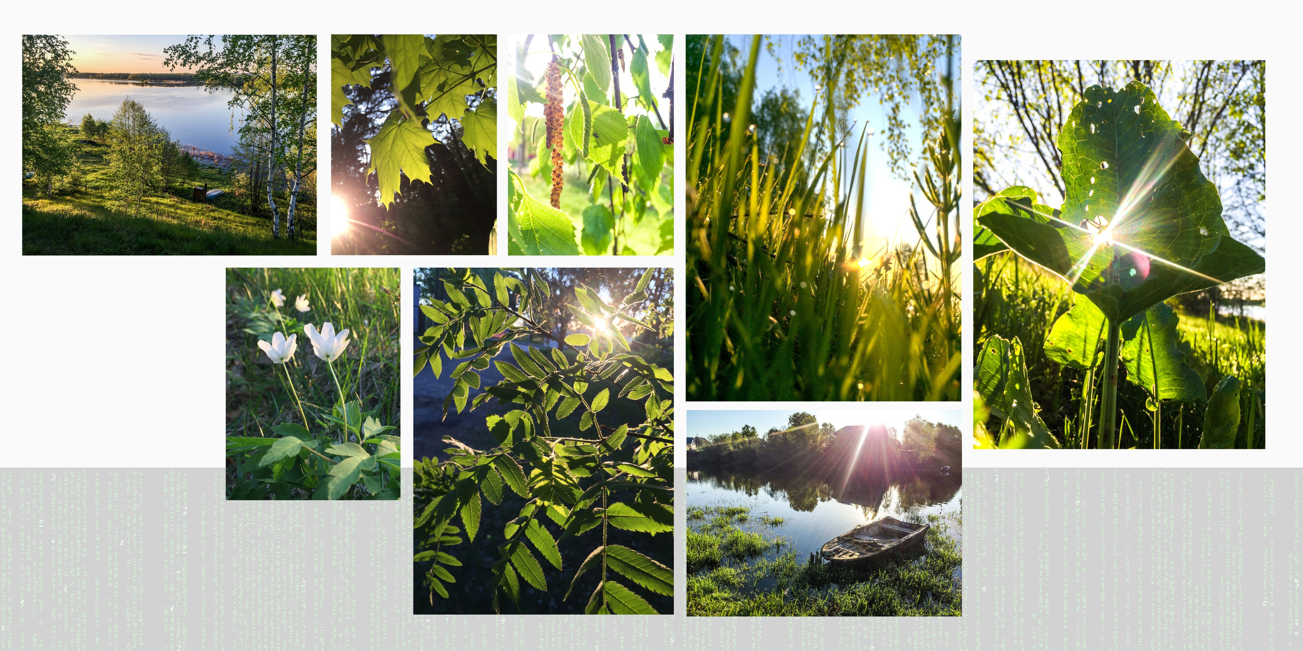 Алексей Дюжев. Ведущий событий. Фотографирую масштабные события, людей и их истории по всему миру. Константин Трубников
