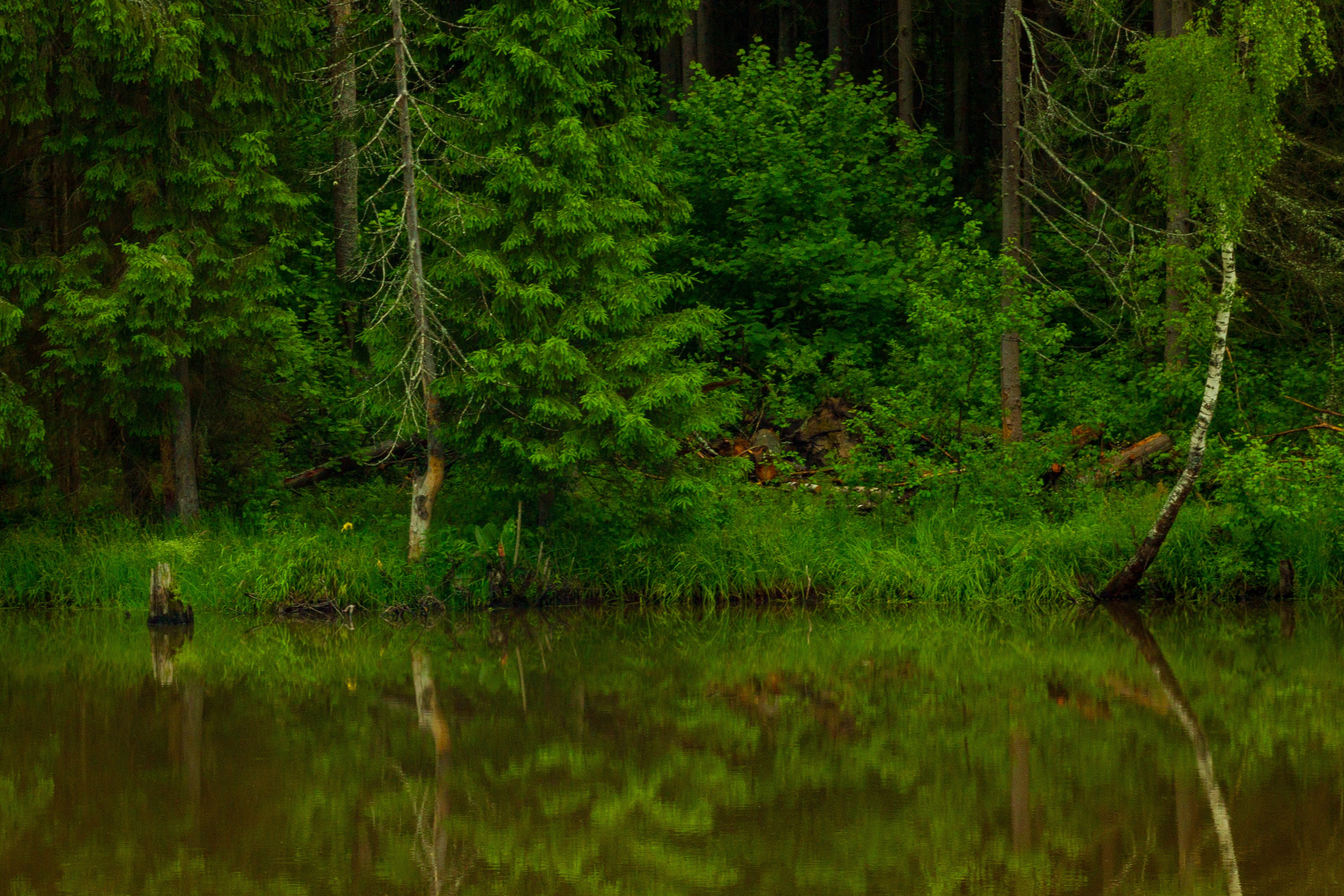 Dacha vibes. Папка кадров 📁