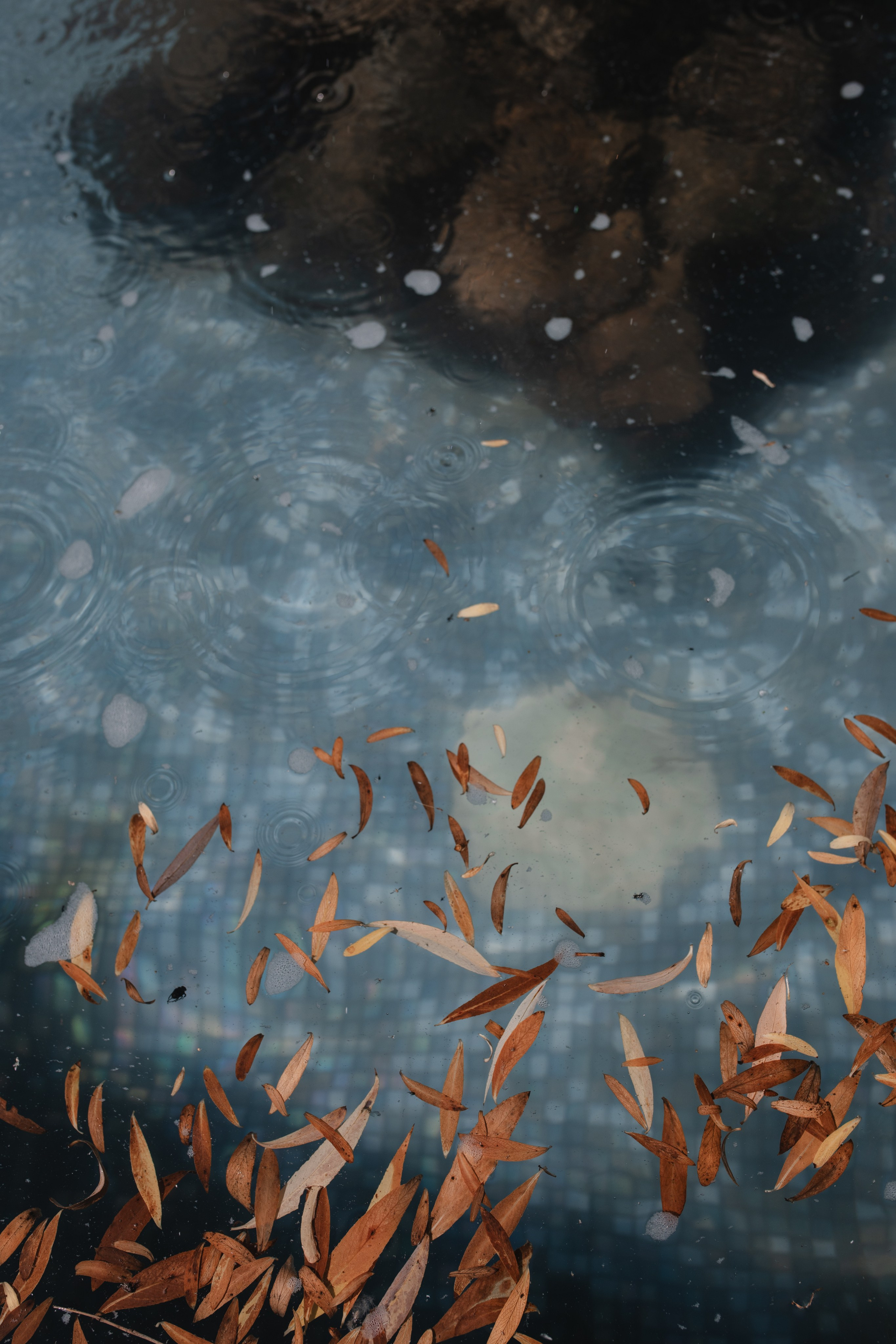 Сергей и Анжела. Никита Селиванов, свадебный фотограф в Воронеже