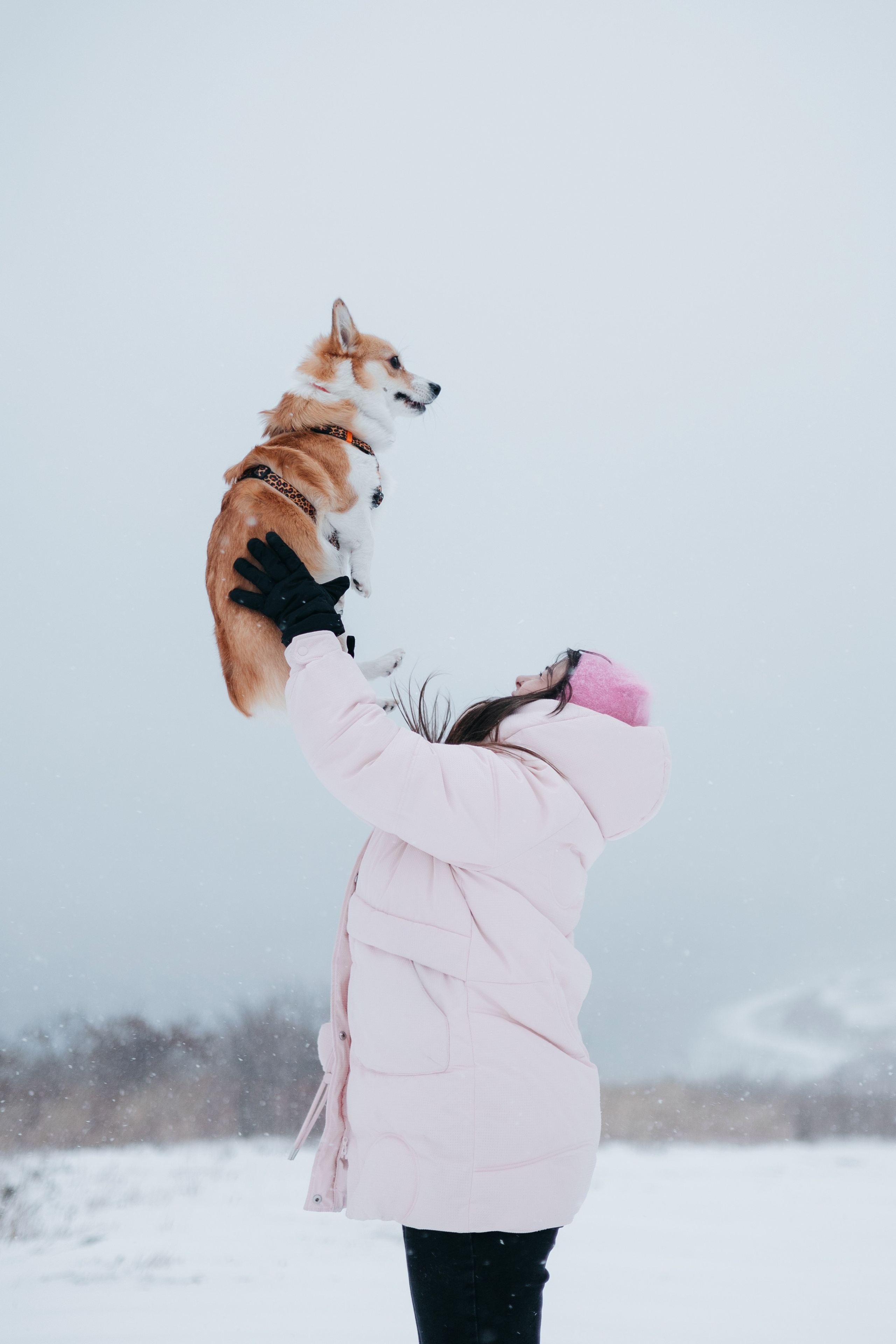 Лена, Лиза и Мия. Фотограф — анималист Владивосток, Алина