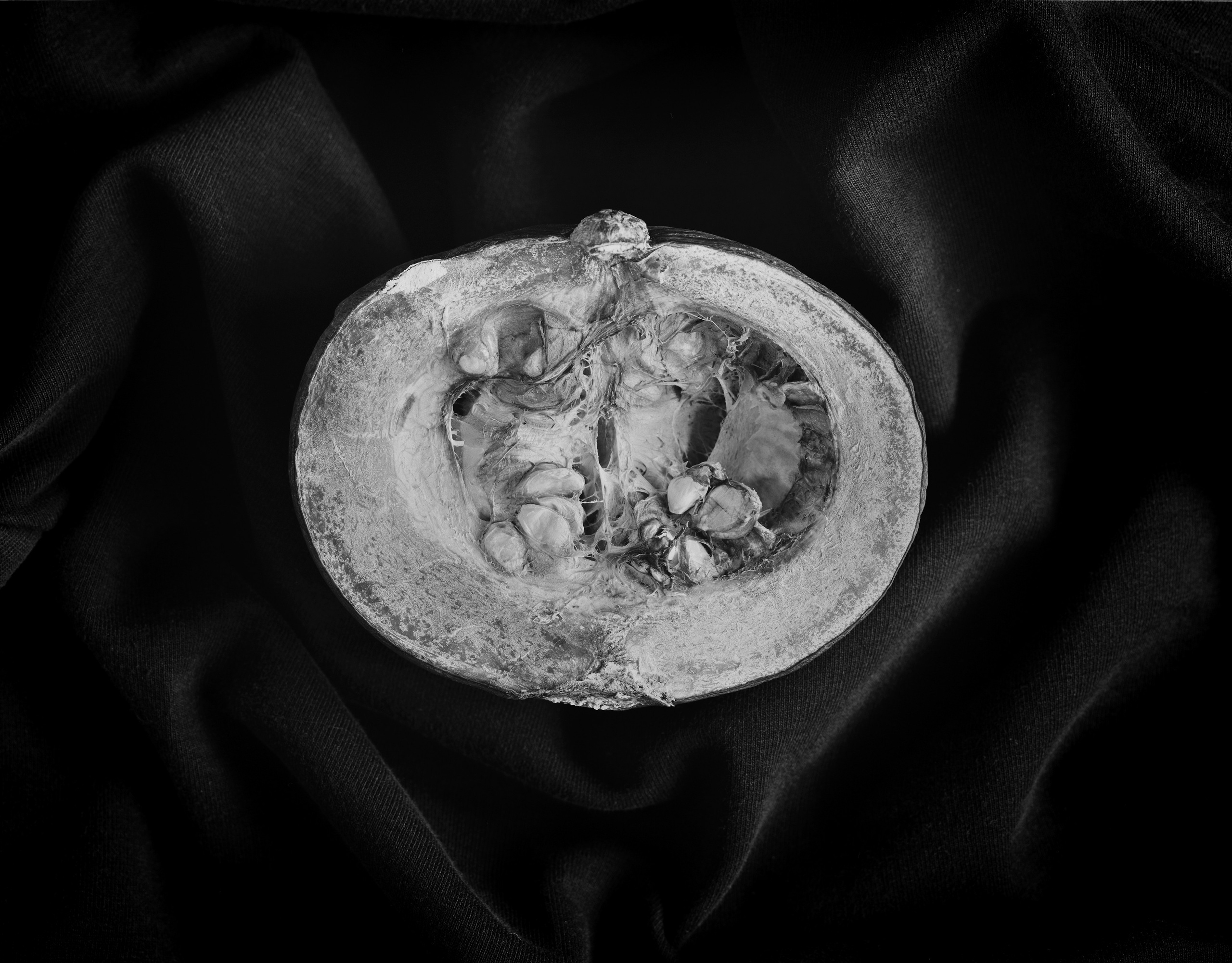 Натюрморт. Кондрюк Сергей фотограф |художник