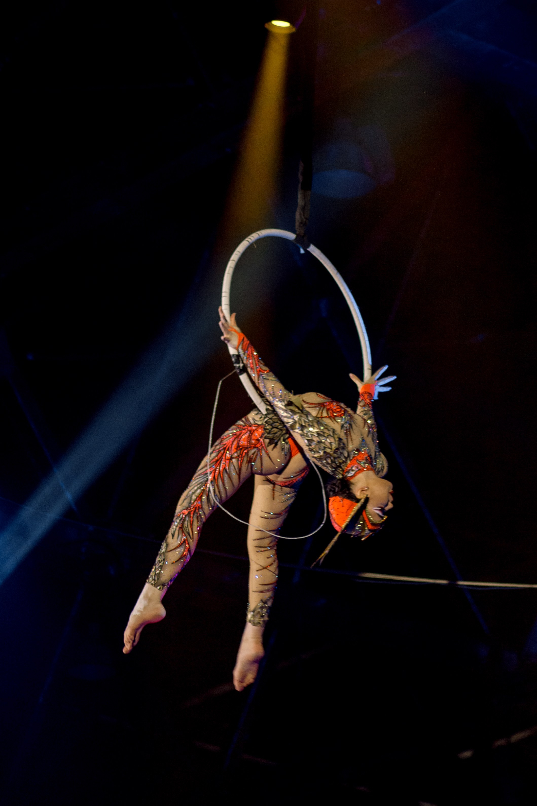 Цирк Moretti в Иркутске. Свадебный фотограф Иркутск, репортажный фотограф Иркутск