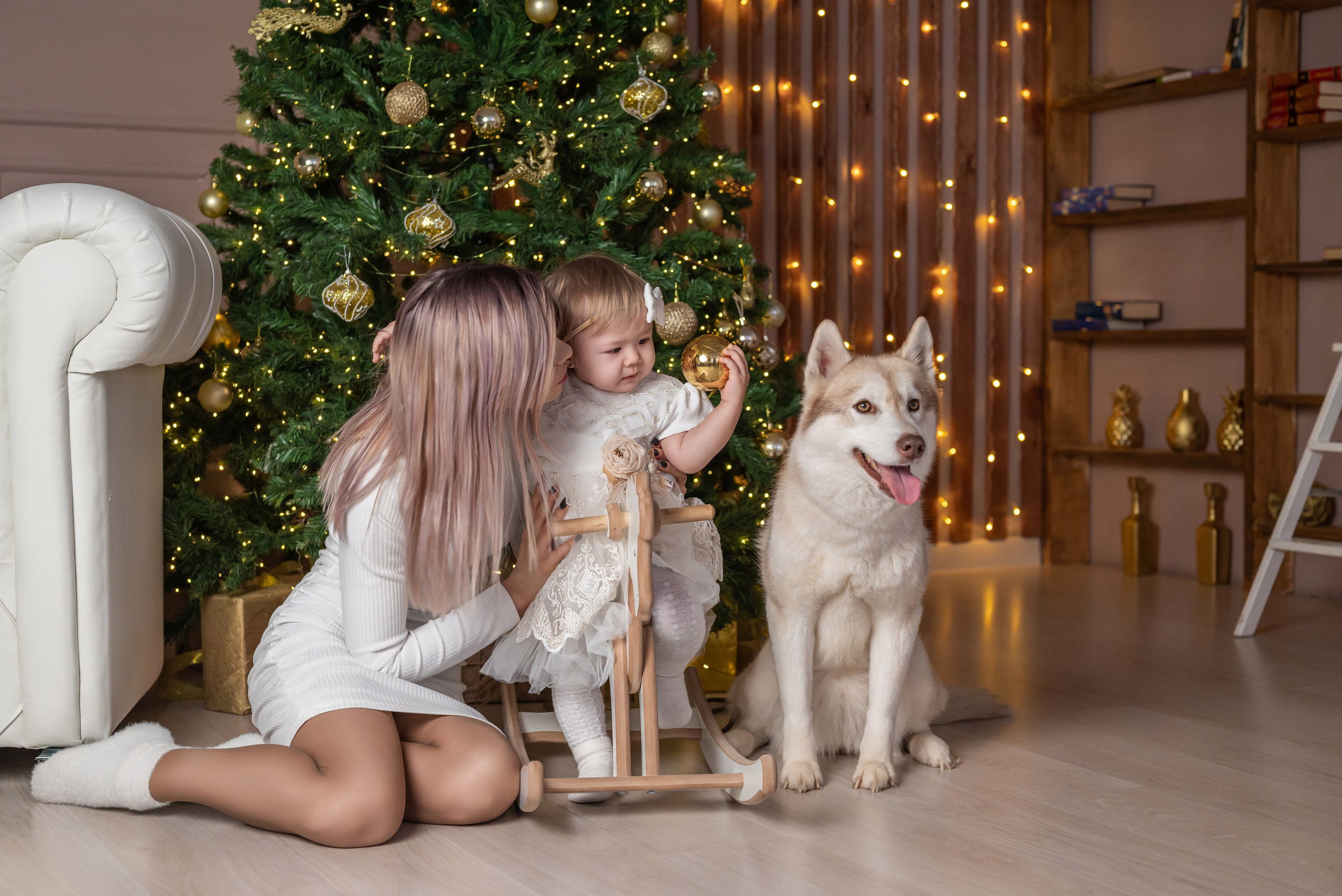 Фотопроект с хаски. Фотограф в городе Салават