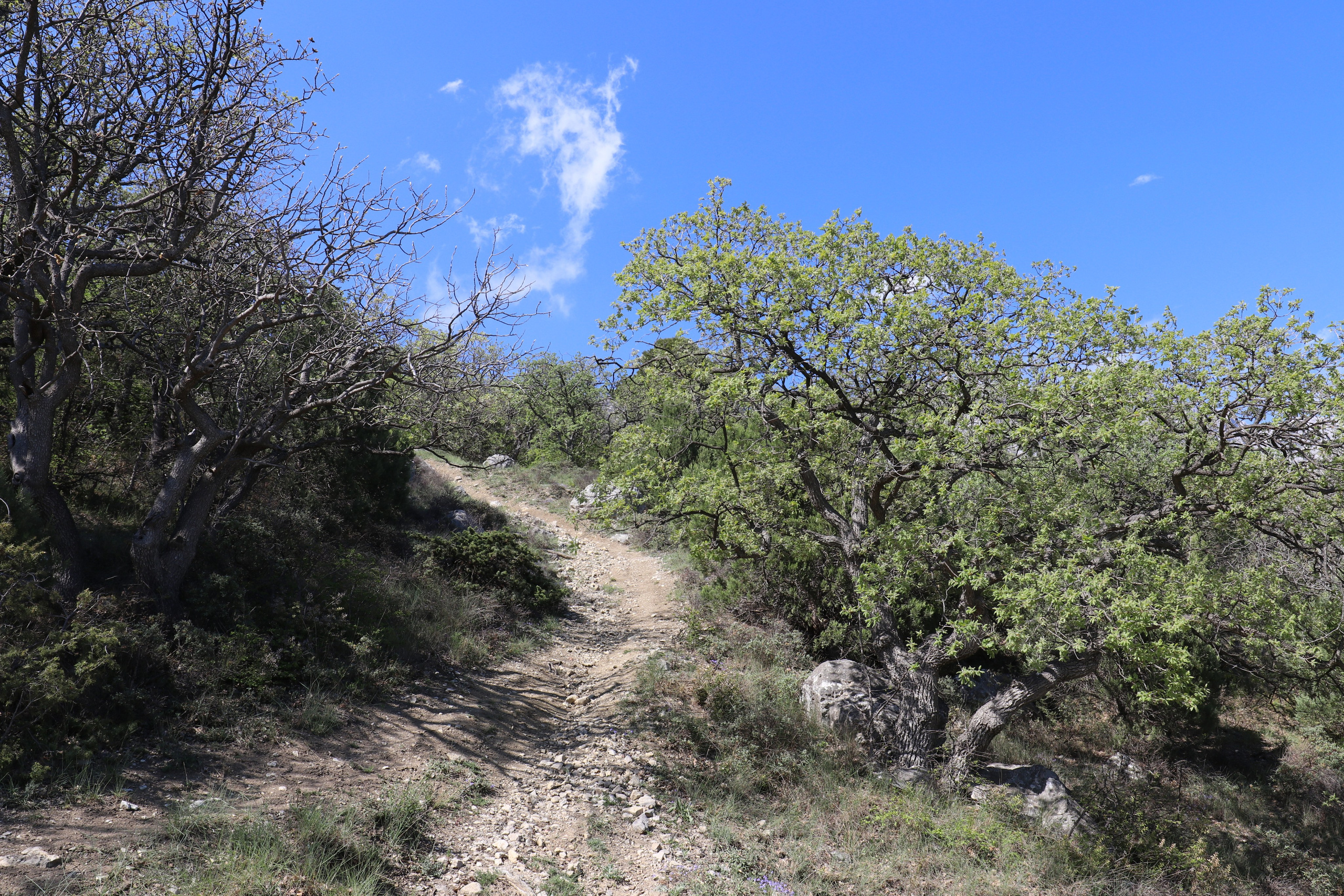 Крым. ЮБК (Бахчисарай, Кастрополь, Таракташская тропа). Май 2021. Путешественник-фотограф из Санкт-Петербурга Татьяна Свистулина