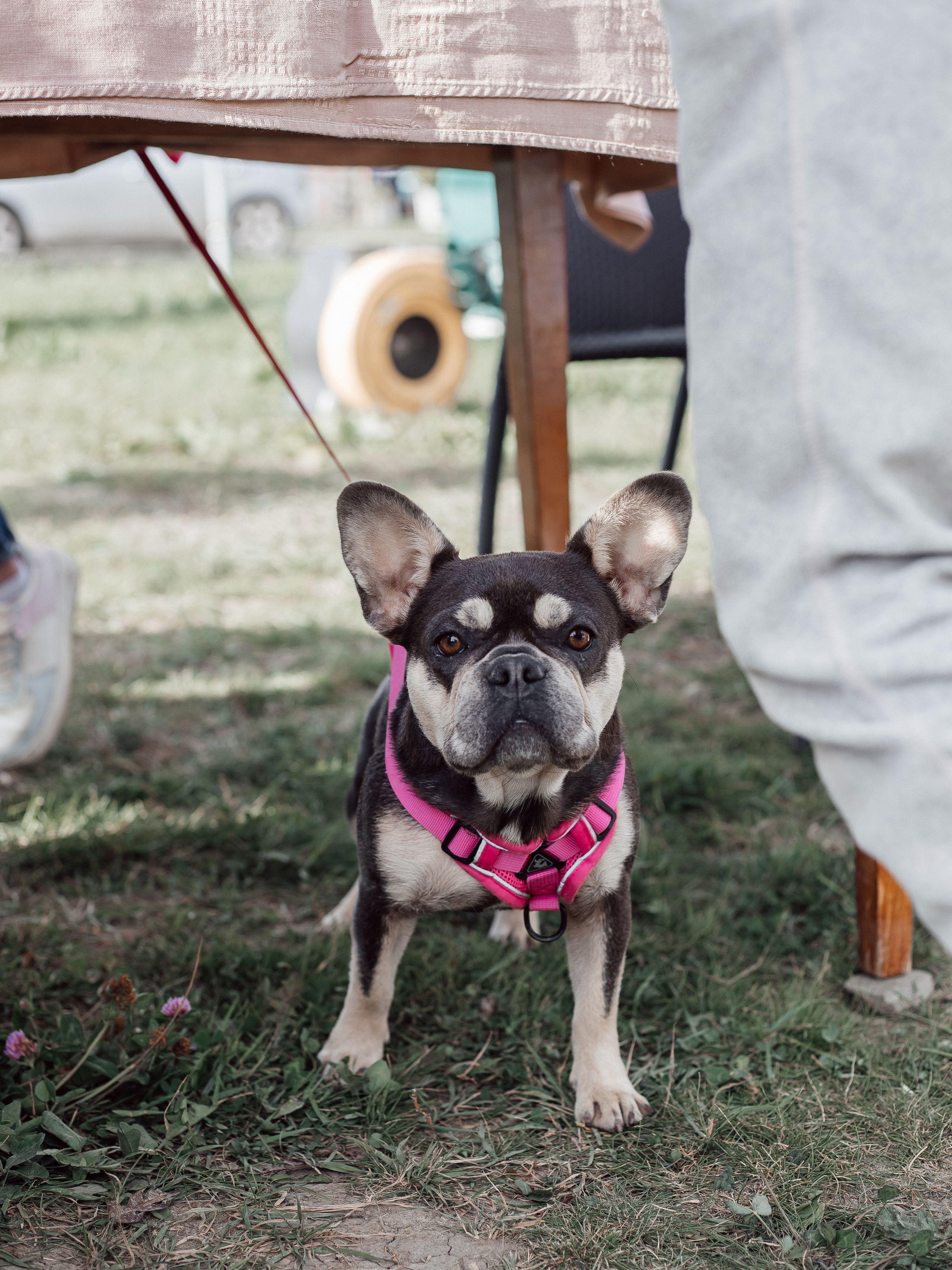 «РасторгуевЪ» 10 лет. Семейный и детский фотограф в  г. Екатеринбурге Холодова Юлия