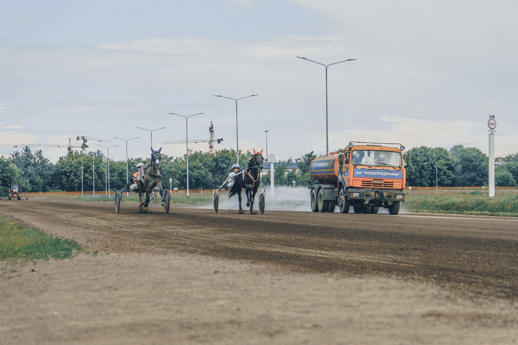 Раменский ипподром. Фотограф Яна Журавская Спб / Москва